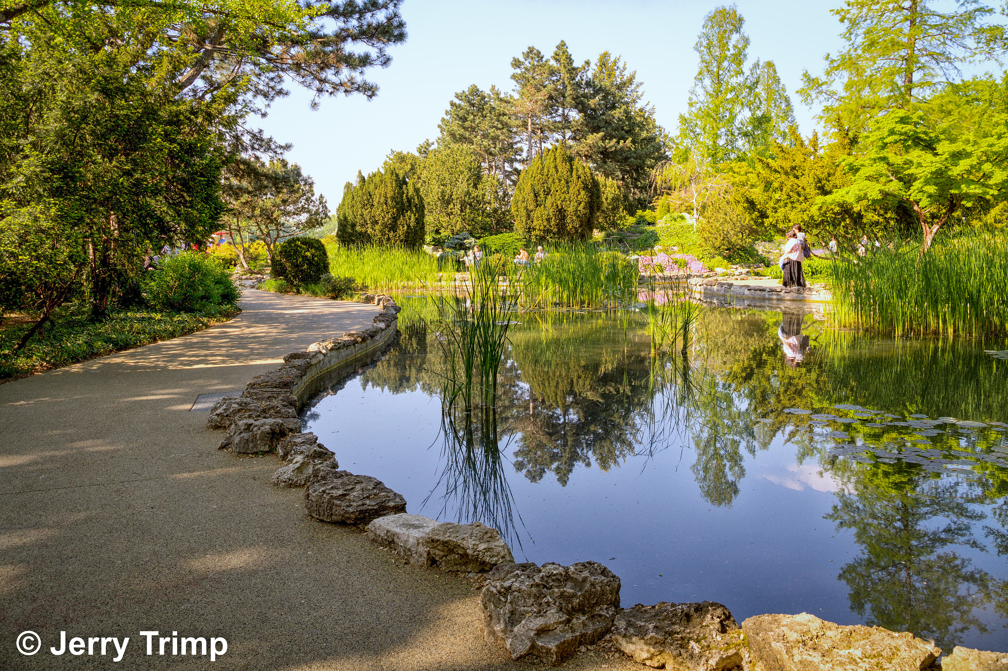 Sony SLT-A58 + Sigma 18-200mm F3.5-6.3 DC sample photo. The peaceful walk photography