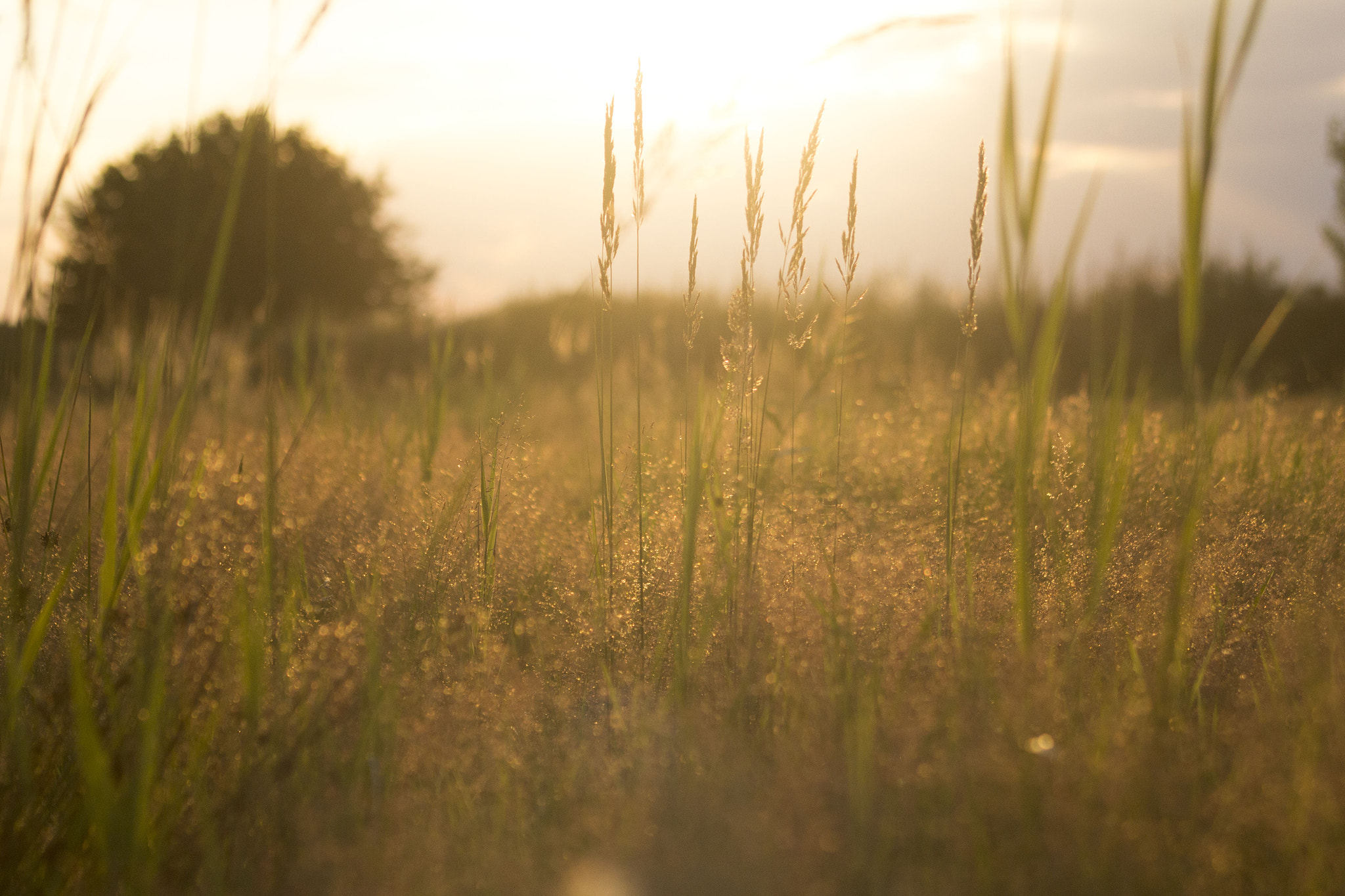 Canon EF 70-210mm f/3.5-4.5 USM sample photo