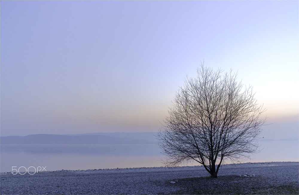 Sony Alpha NEX-6 + Sony Vario-Tessar T* E 16-70mm F4 ZA OSS sample photo. In the early morning iv photography