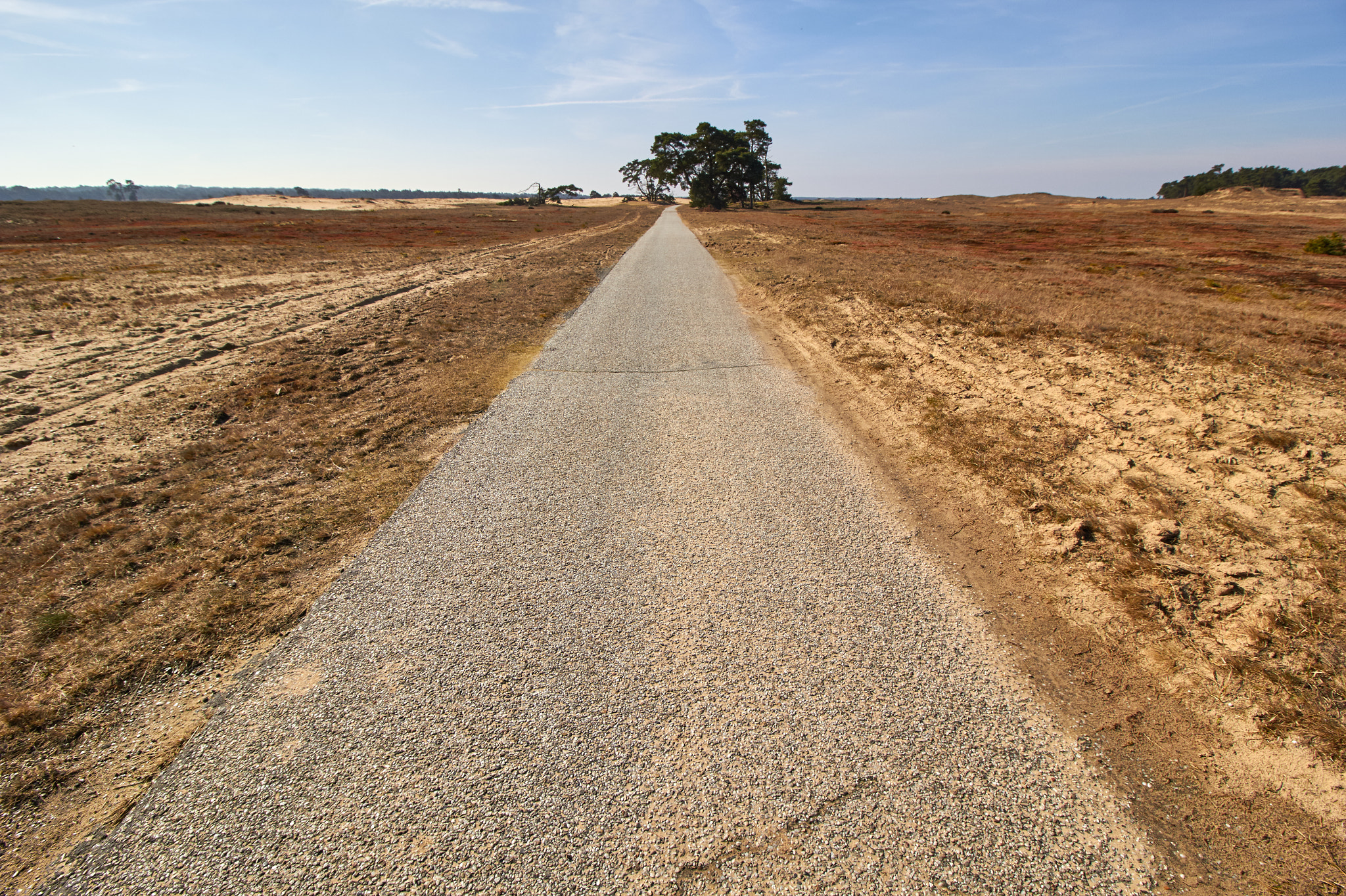 Canon EF-S 10-18mm F4.5–5.6 IS STM sample photo. Bike path through moorland photography