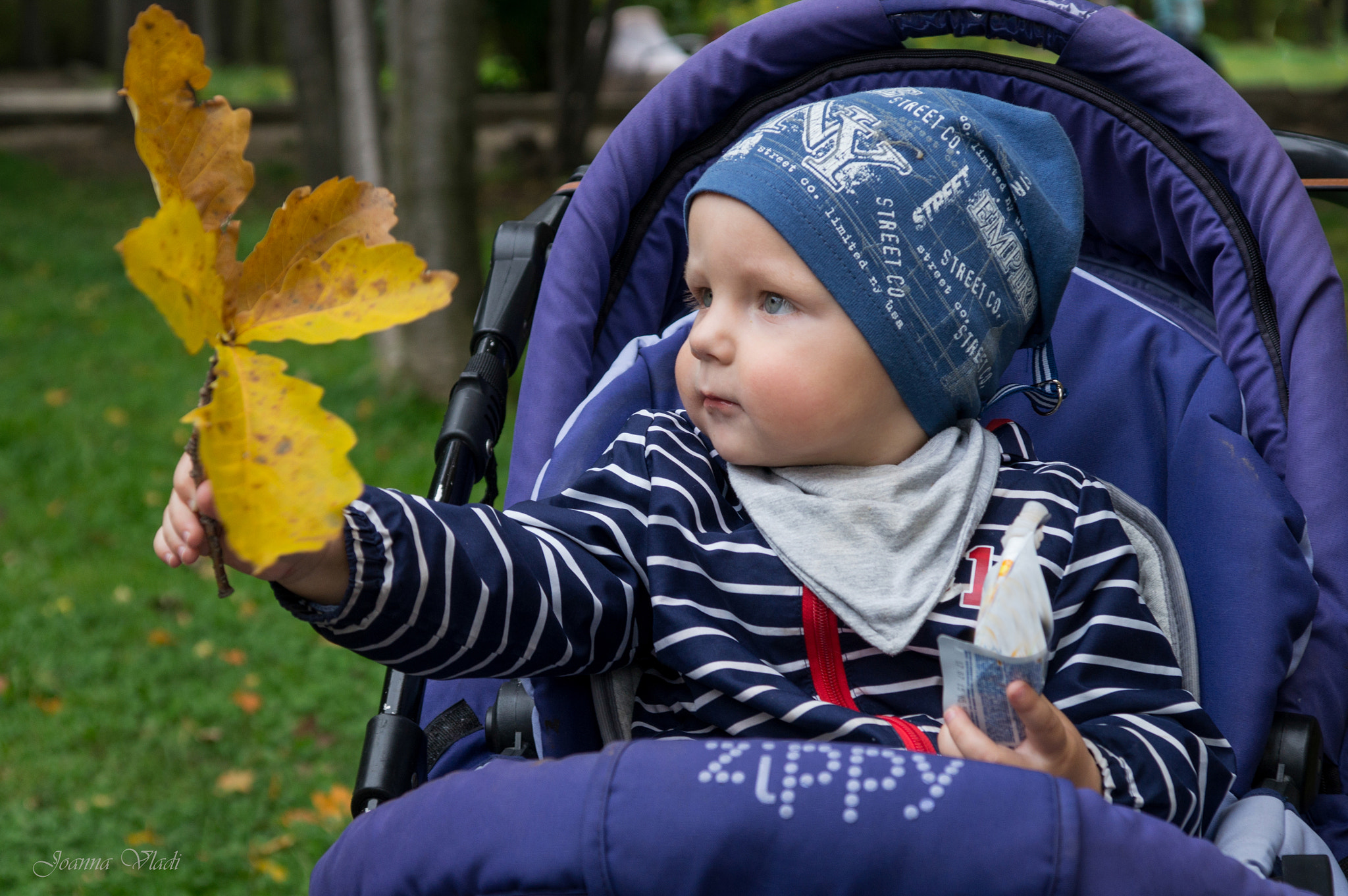 Sony SLT-A57 sample photo. Smile autumn... photography