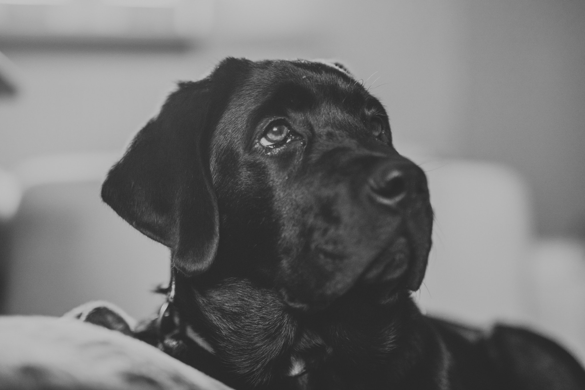 Sigma 50mm F1.4 EX DG HSM sample photo. Elly photography