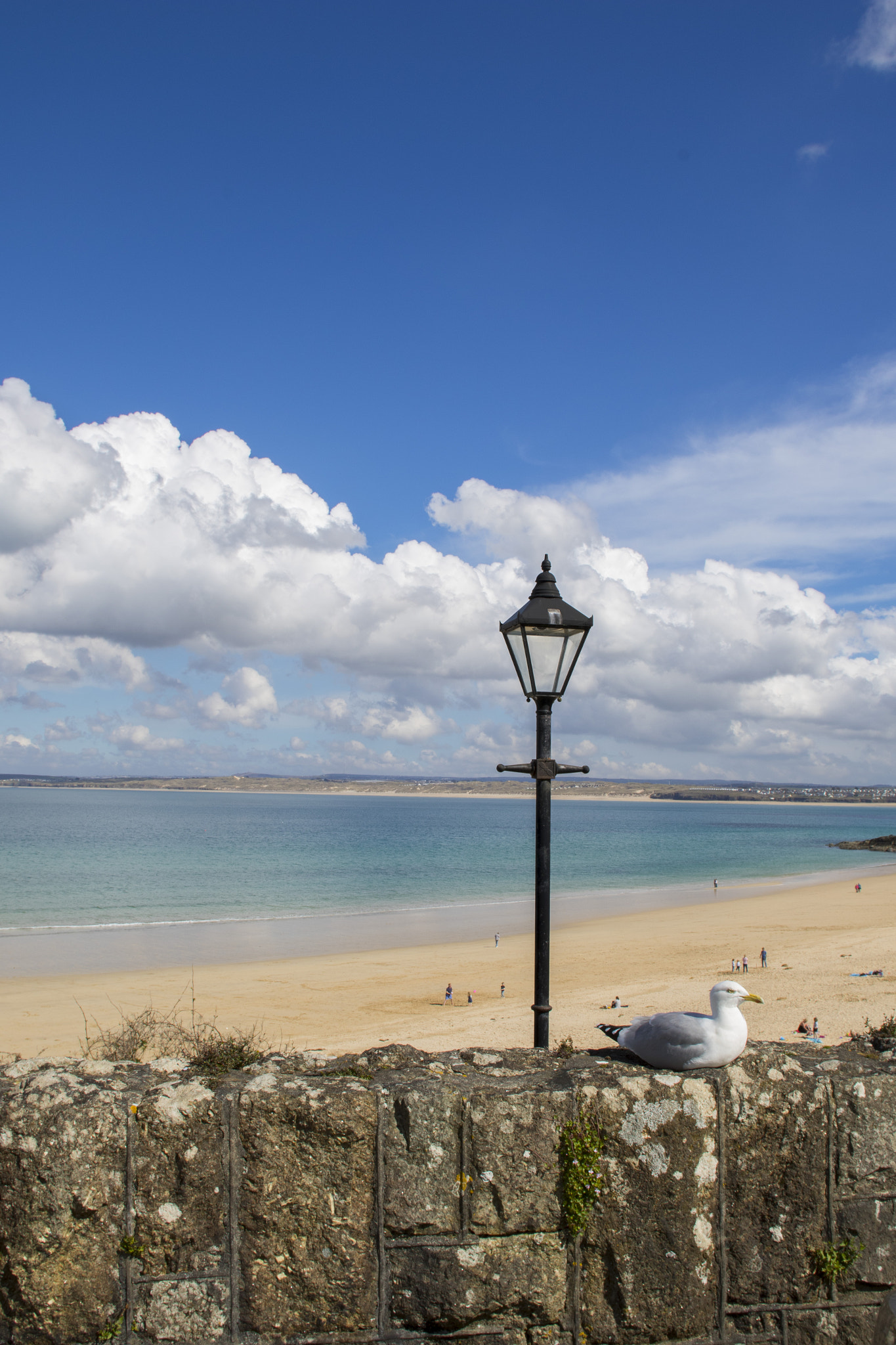 Canon EOS 7D Mark II + Canon EF 20mm F2.8 USM sample photo. Porthminster beach portrait photography