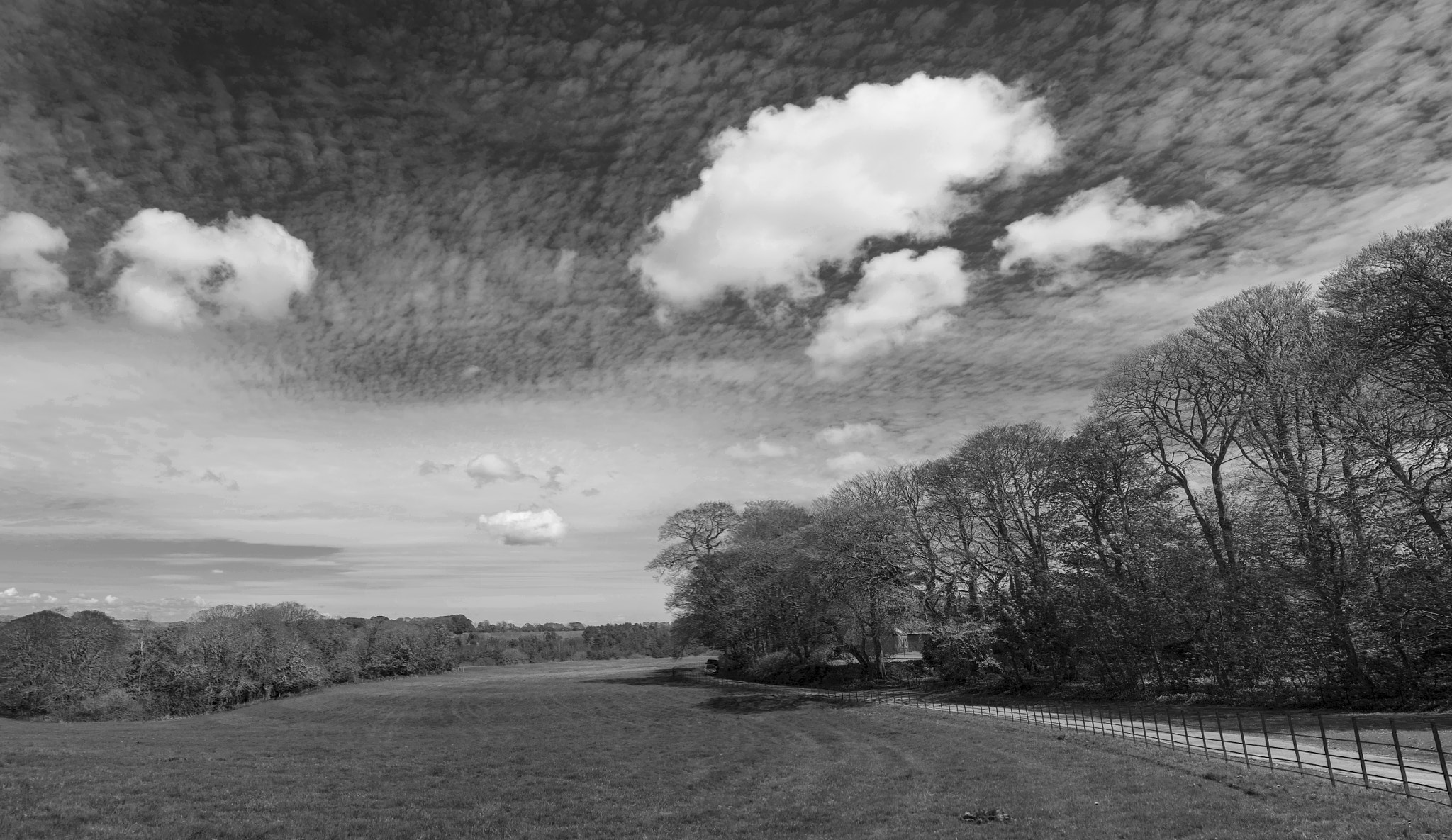 Canon EOS 7D Mark II + Canon EF 20mm F2.8 USM sample photo. Trelowarren gardens landscape photography