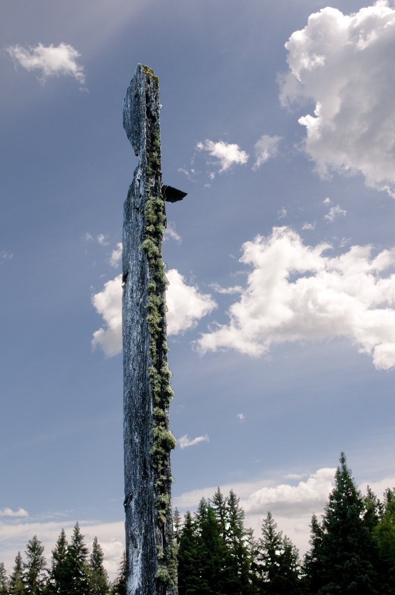 Nikon D90 + Nikon AF-S Nikkor 28mm F1.8G sample photo. Totem-like fence post photography