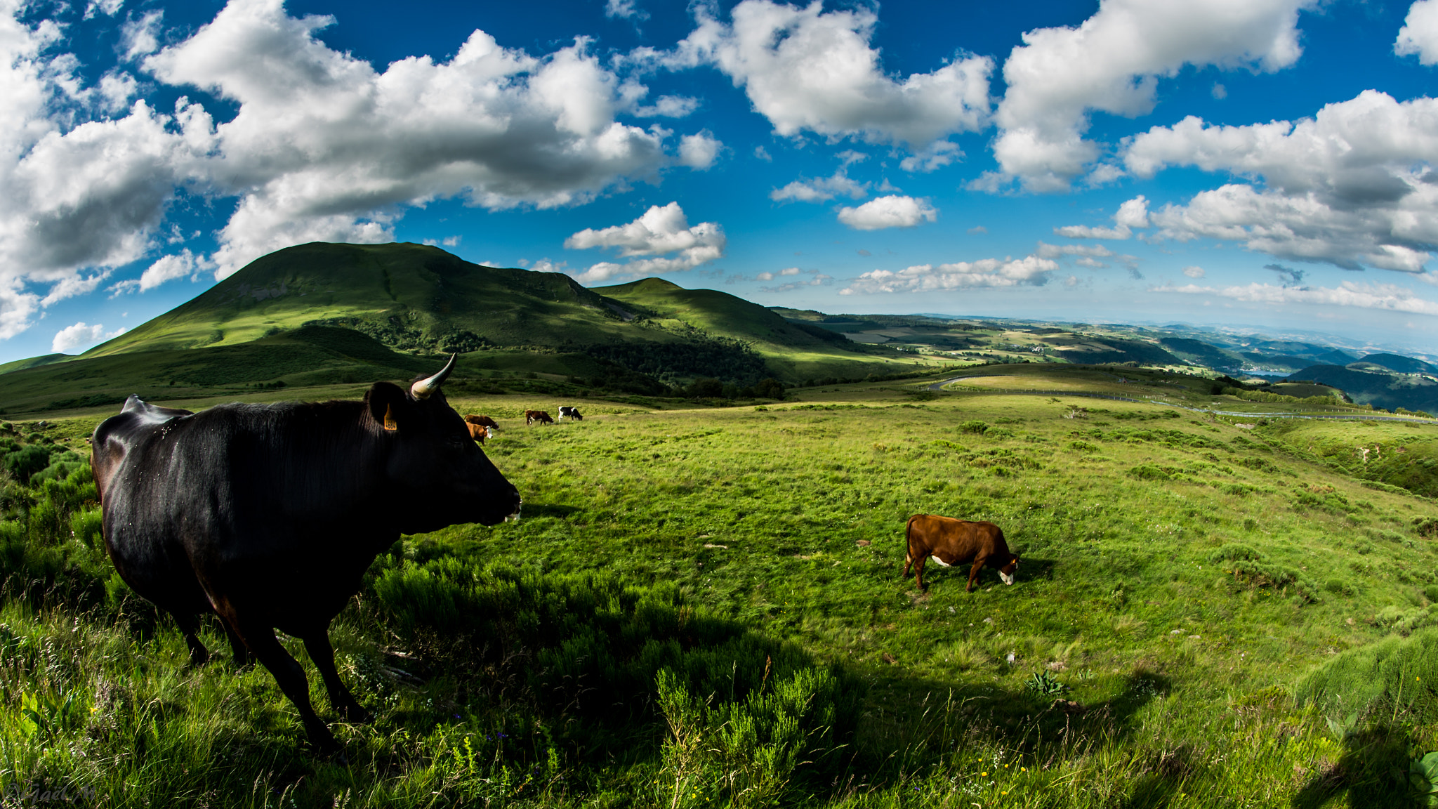 Pentax K-5 IIs + A Series Lens sample photo. Time for a break :) photography