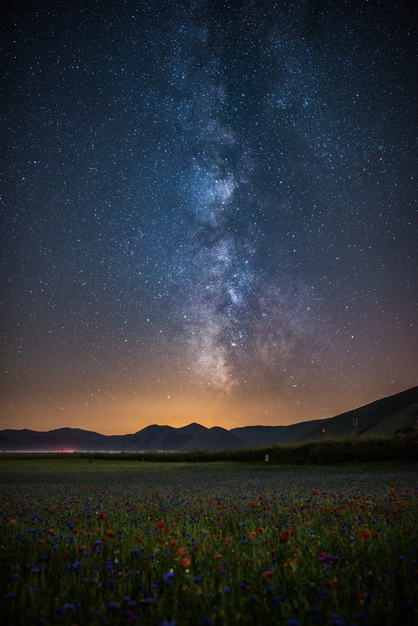 Nikon D800 + Samyang 12mm F2.8 ED AS NCS Fisheye sample photo. La fioritura photography