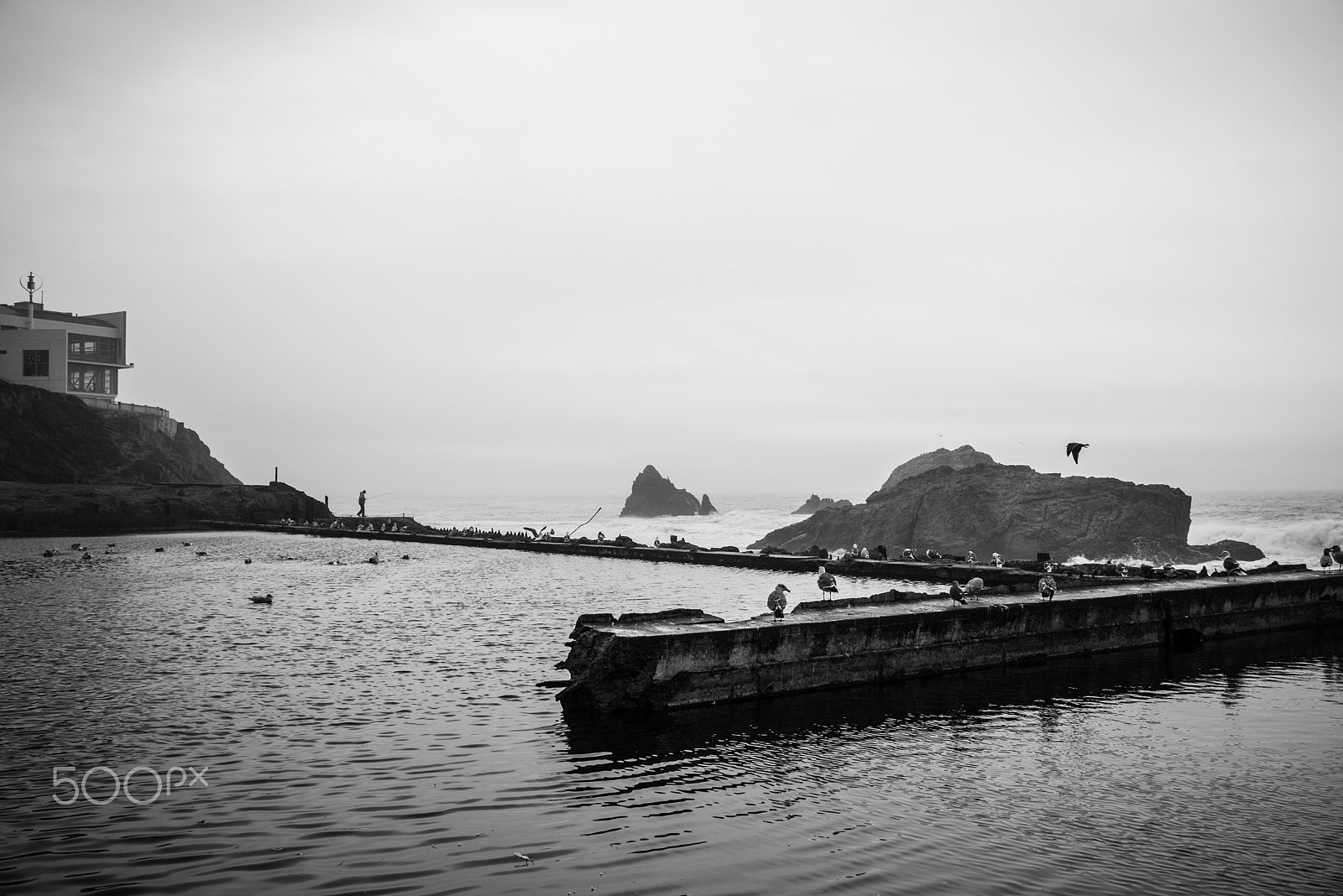 Sony a7R II + Sony Vario-Tessar T* E 16-70mm F4 ZA OSS sample photo. Sutro baths photography