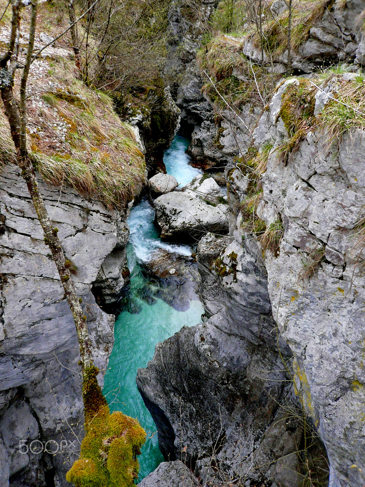 Panasonic DMC-FX100 sample photo. River soca slovenia () photography