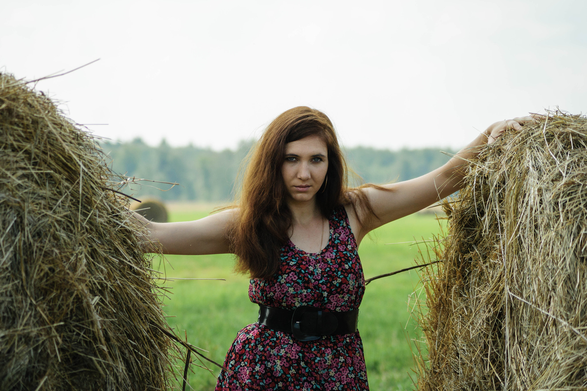 Sony Alpha DSLR-A450 sample photo. Untitled photography