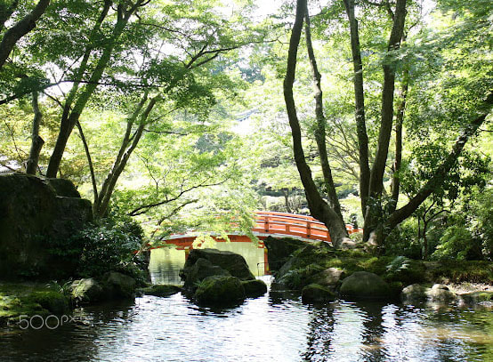 Canon EOS 1000D (EOS Digital Rebel XS / EOS Kiss F) sample photo. Bridgejap photography
