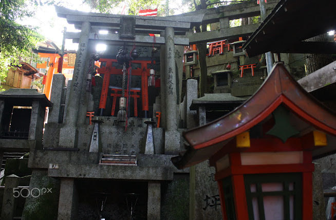 Canon EOS 1000D (EOS Digital Rebel XS / EOS Kiss F) sample photo. Foxshrine photography