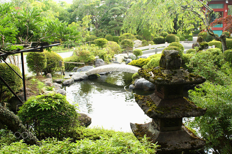 Canon EOS 1000D (EOS Digital Rebel XS / EOS Kiss F) sample photo. Japgarden photography