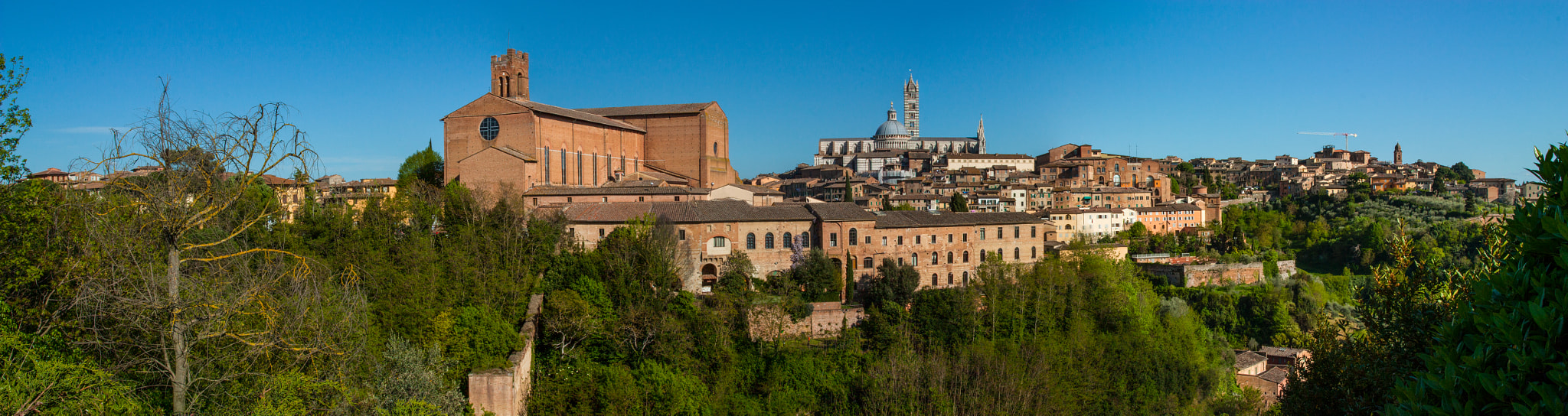 Canon EOS 450D (EOS Rebel XSi / EOS Kiss X2) sample photo. Panorama siena, italy photography