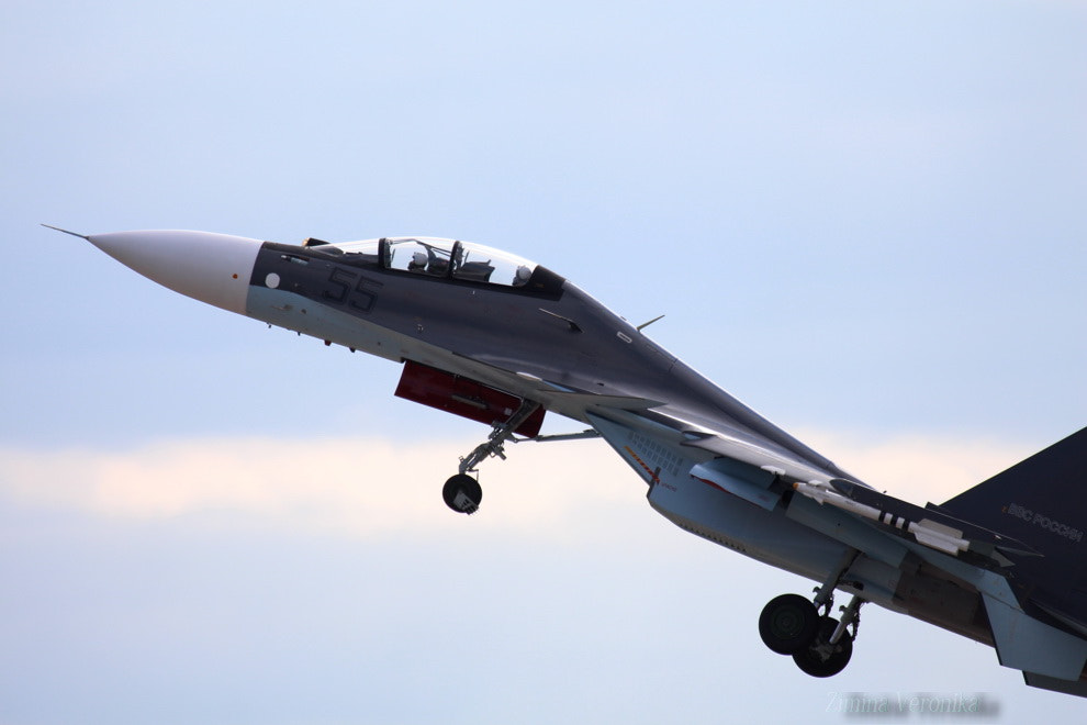 Canon EF 100-400mm F4.5-5.6L IS USM sample photo. Зимина photography