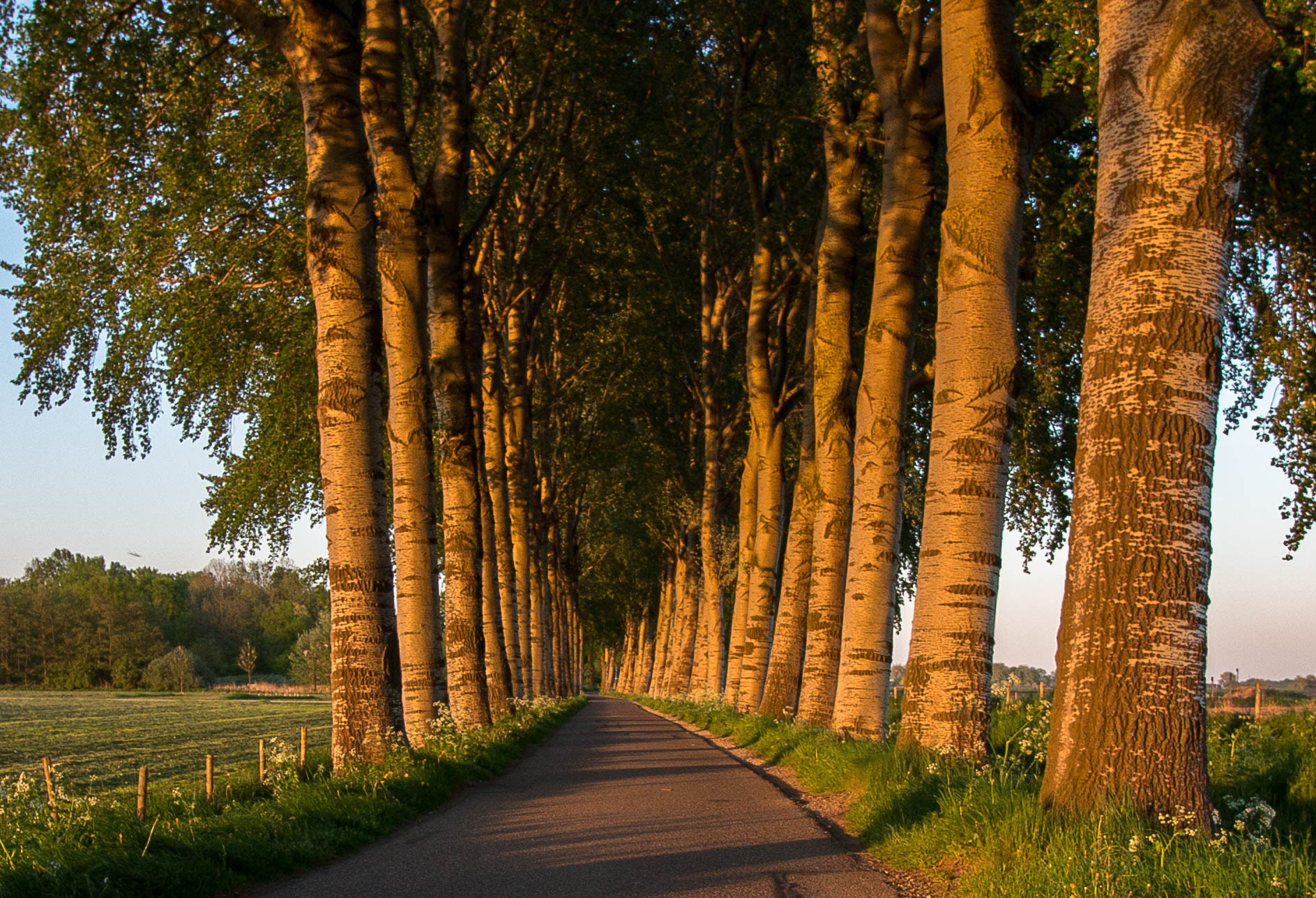 Canon EF-S 10-18mm F4.5–5.6 IS STM sample photo. De achterdijk bunnik () photography