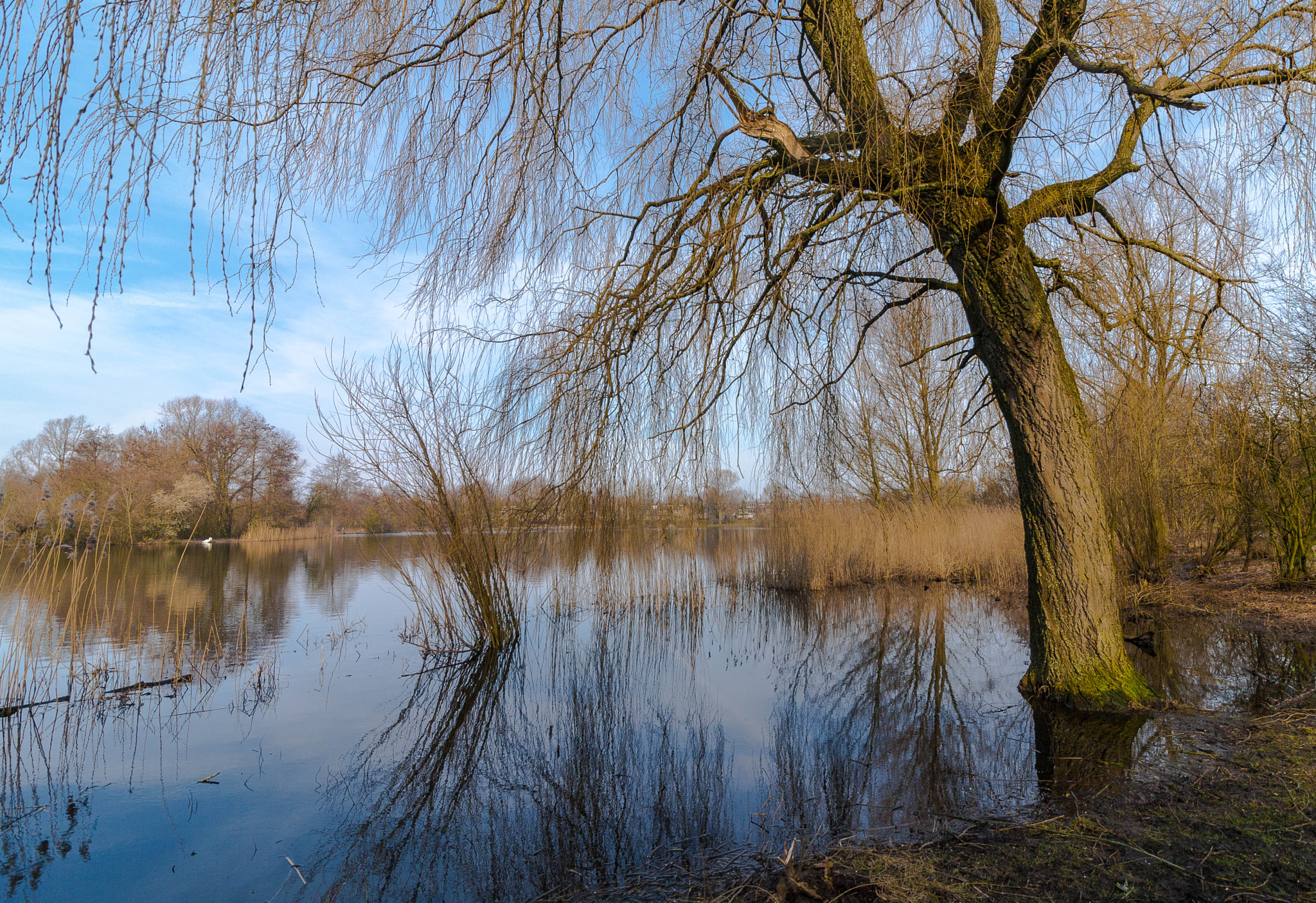 Canon EF-S 10-18mm F4.5–5.6 IS STM sample photo. Kooikersplas by jaco schinkel () photography