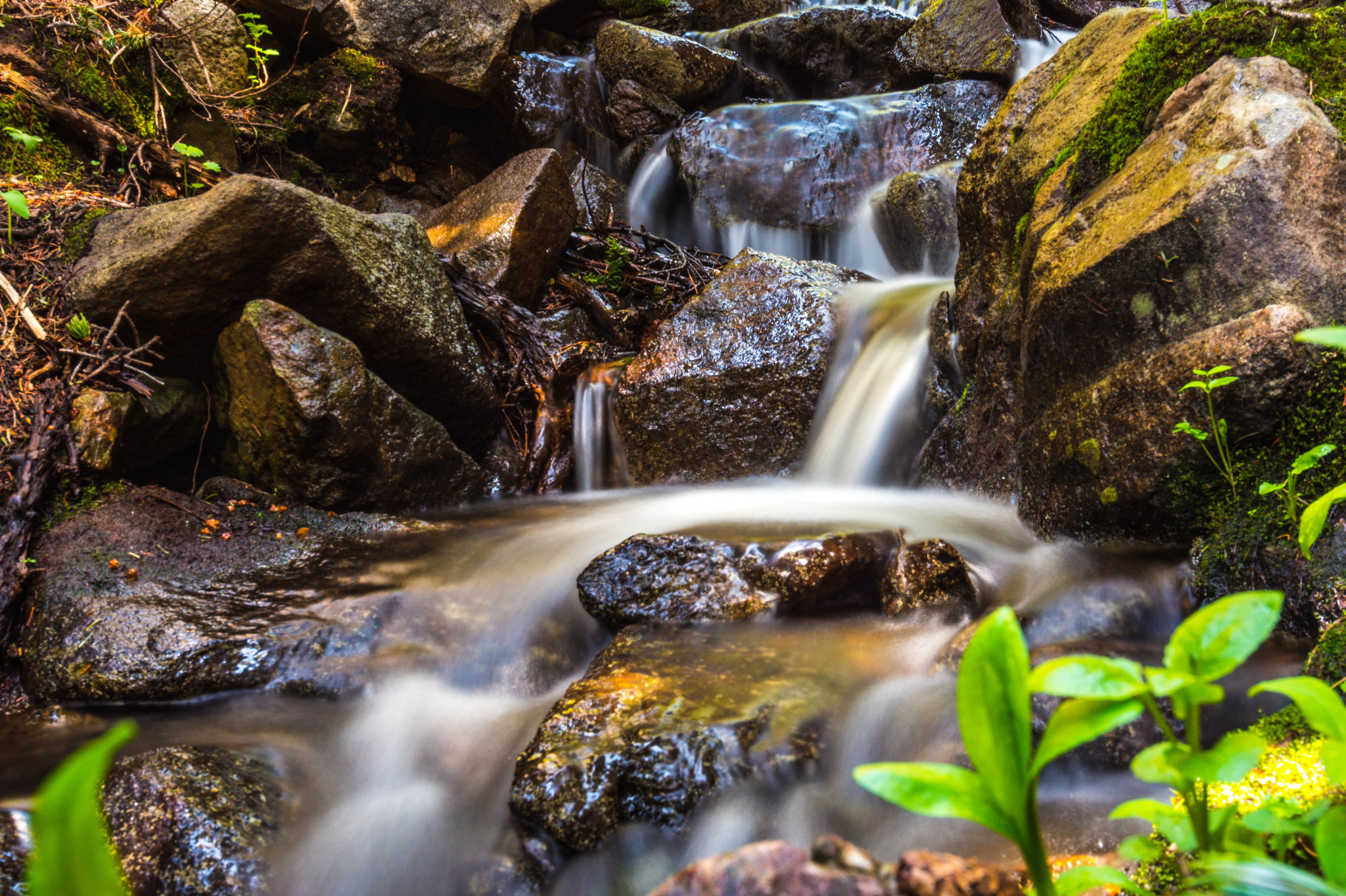 Nikon D7200 + Tokina AT-X 12-28mm F4 Pro DX sample photo. Waterfall in a colorado forest photography