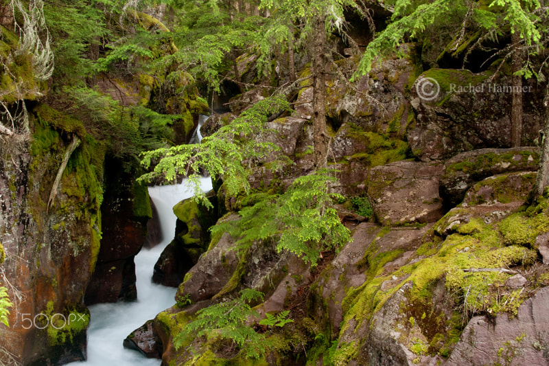AF Zoom-Nikkor 28-80mm f/3.5-5.6D sample photo. Avalanche creek photography