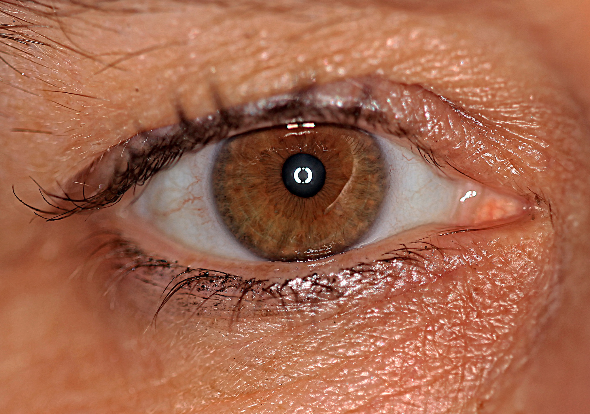 Sigma APO Macro 150mm f/2.8 EX DG HSM sample photo. Eye photography