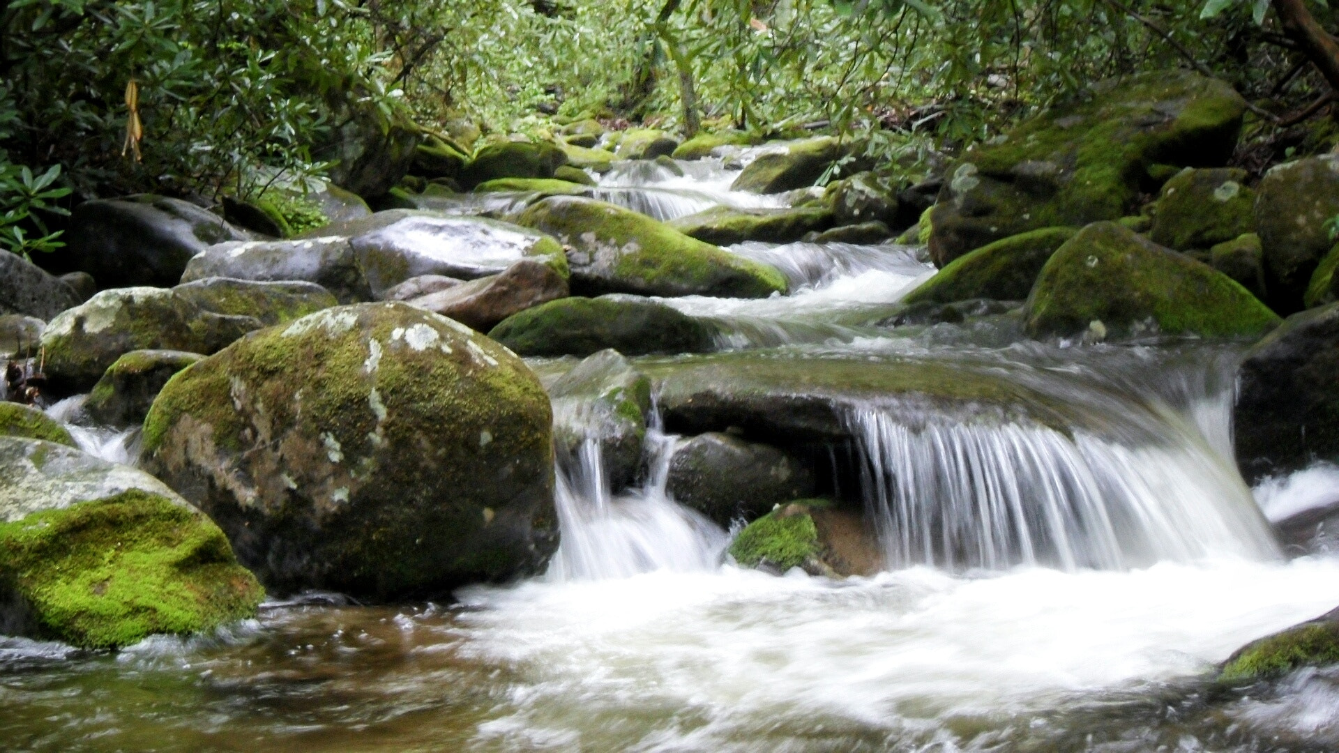 Samsung ST500 /  ST510 / VLUU ST500 /  TL220 sample photo. Smoky mountain cascade  photography