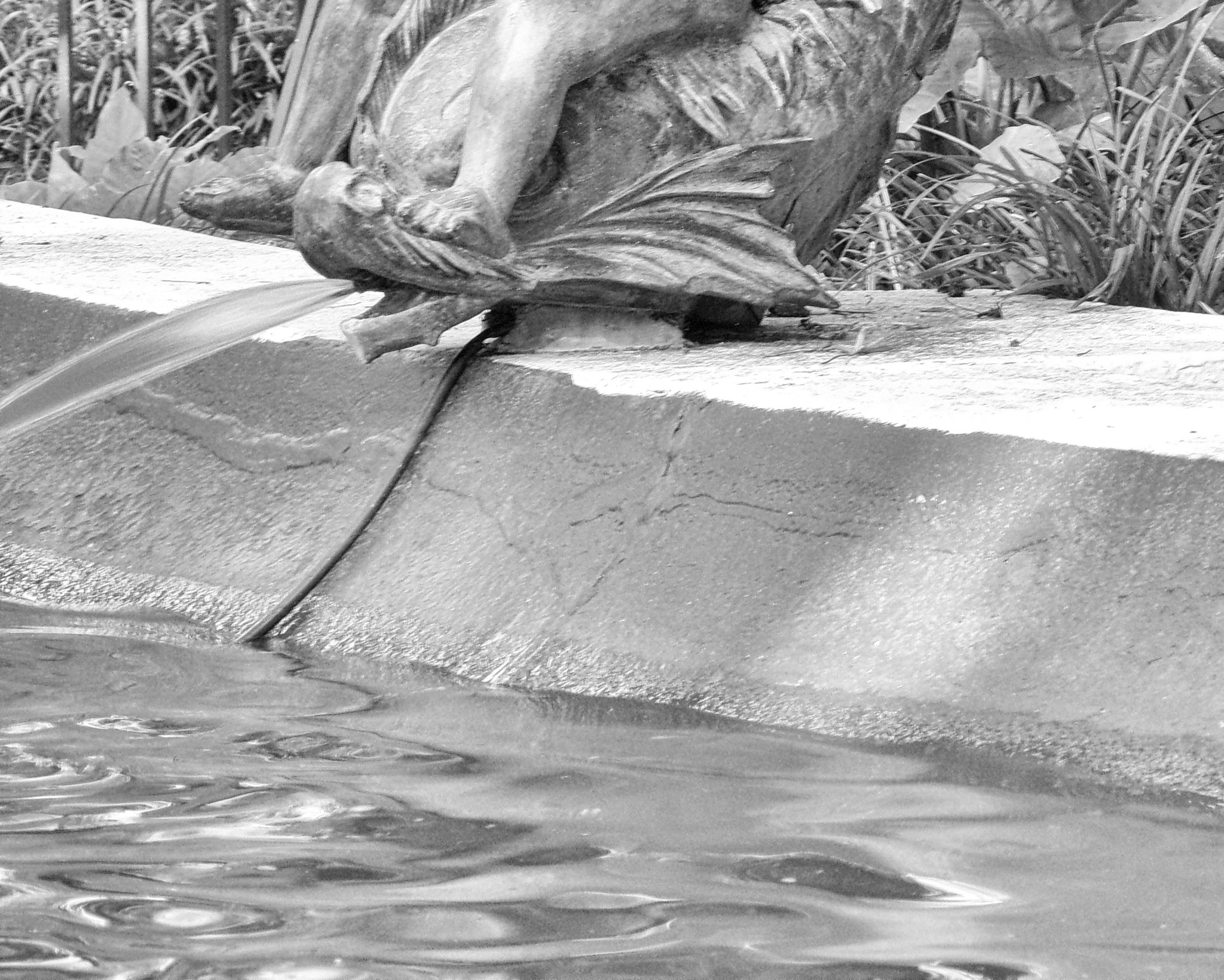 Kodak PIXPRO AZ501 sample photo. Kodak digital still camera photography