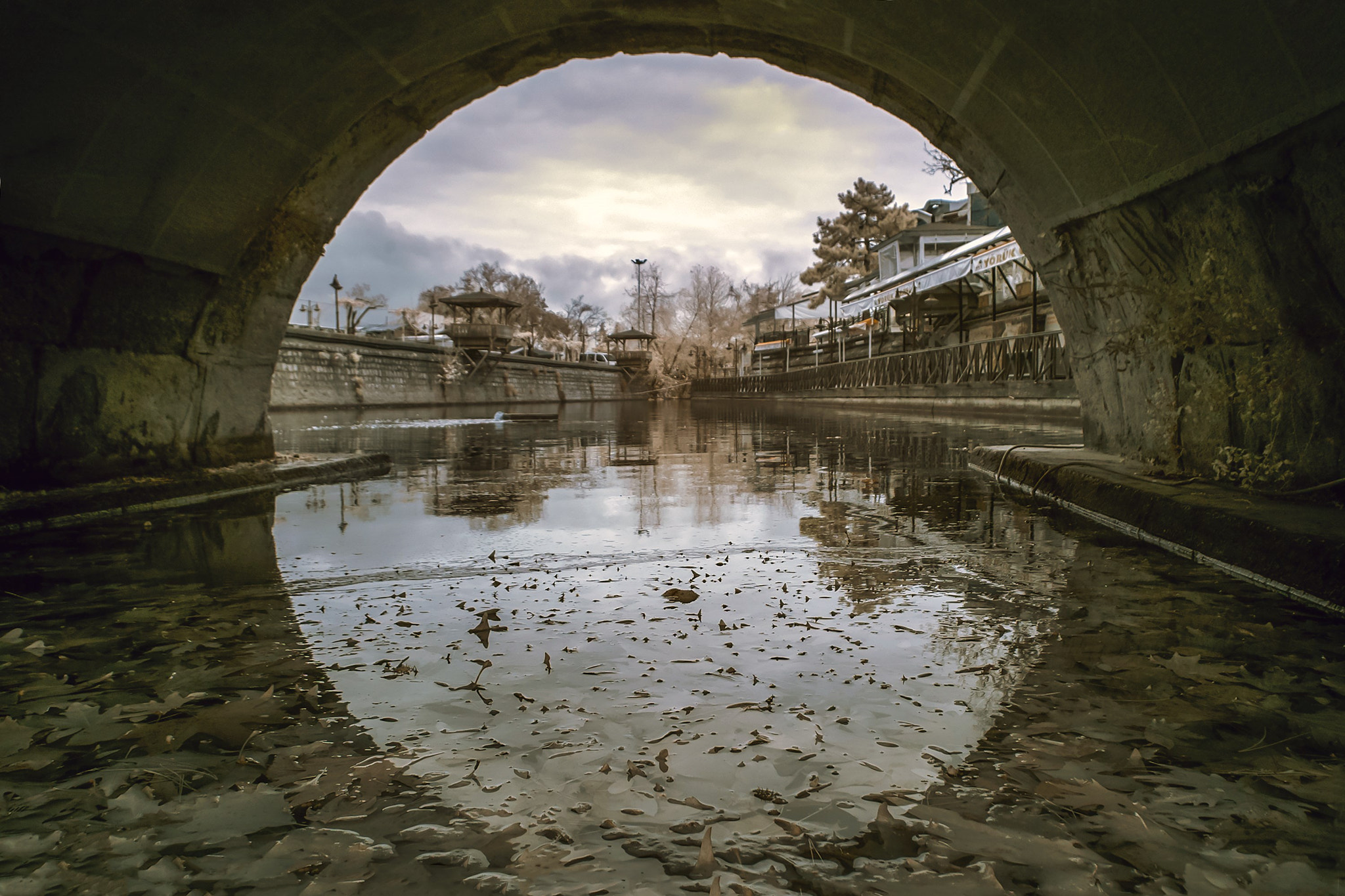 Nikon D70s sample photo. Reflection photography