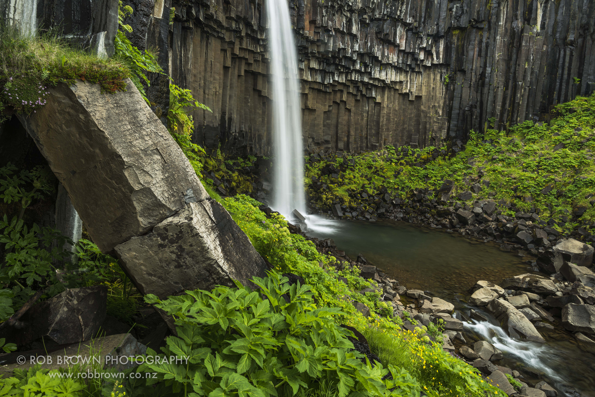 Nikon D800E + Nikon AF-S Nikkor 20mm F1.8G ED sample photo. Svartifoss, skaftafell national park, iceland photography