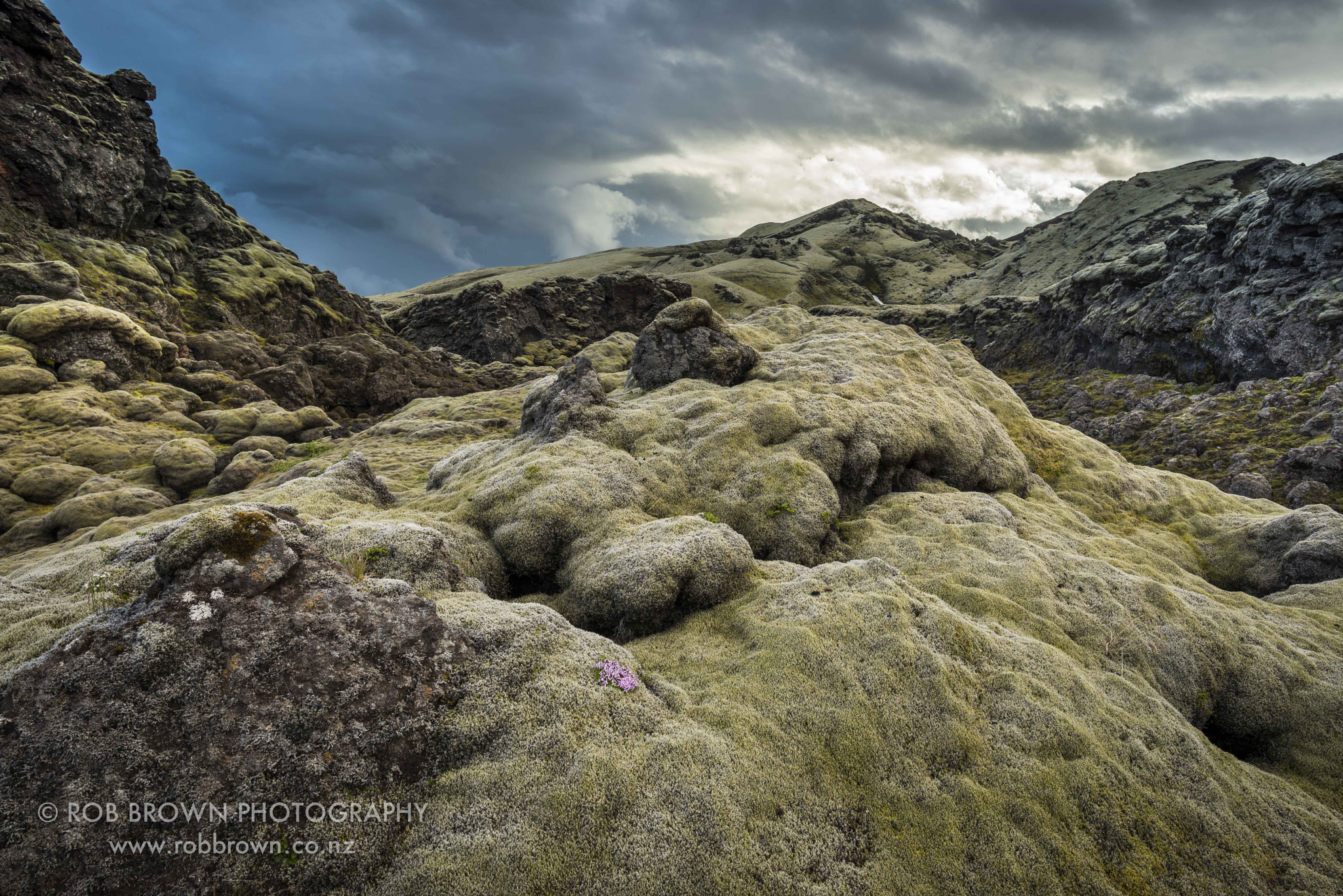 Nikon D800E + Nikon AF-S Nikkor 20mm F1.8G ED sample photo. Lakagigar, iceland photography