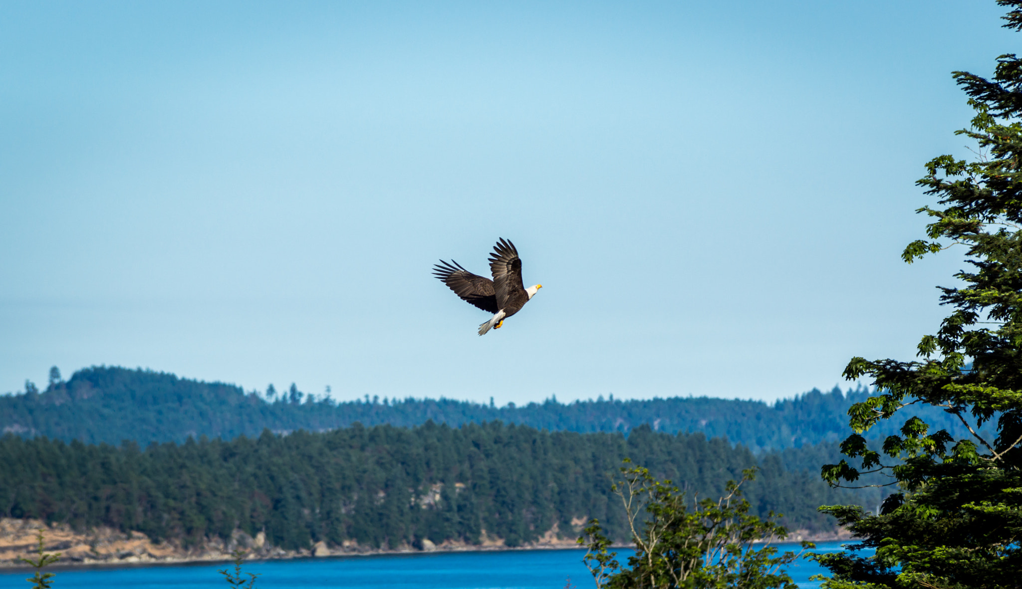 Sony SLT-A77 + Tamron SP AF 70-200mm F2.8 Di LD (IF) MACRO sample photo. Up up and away photography