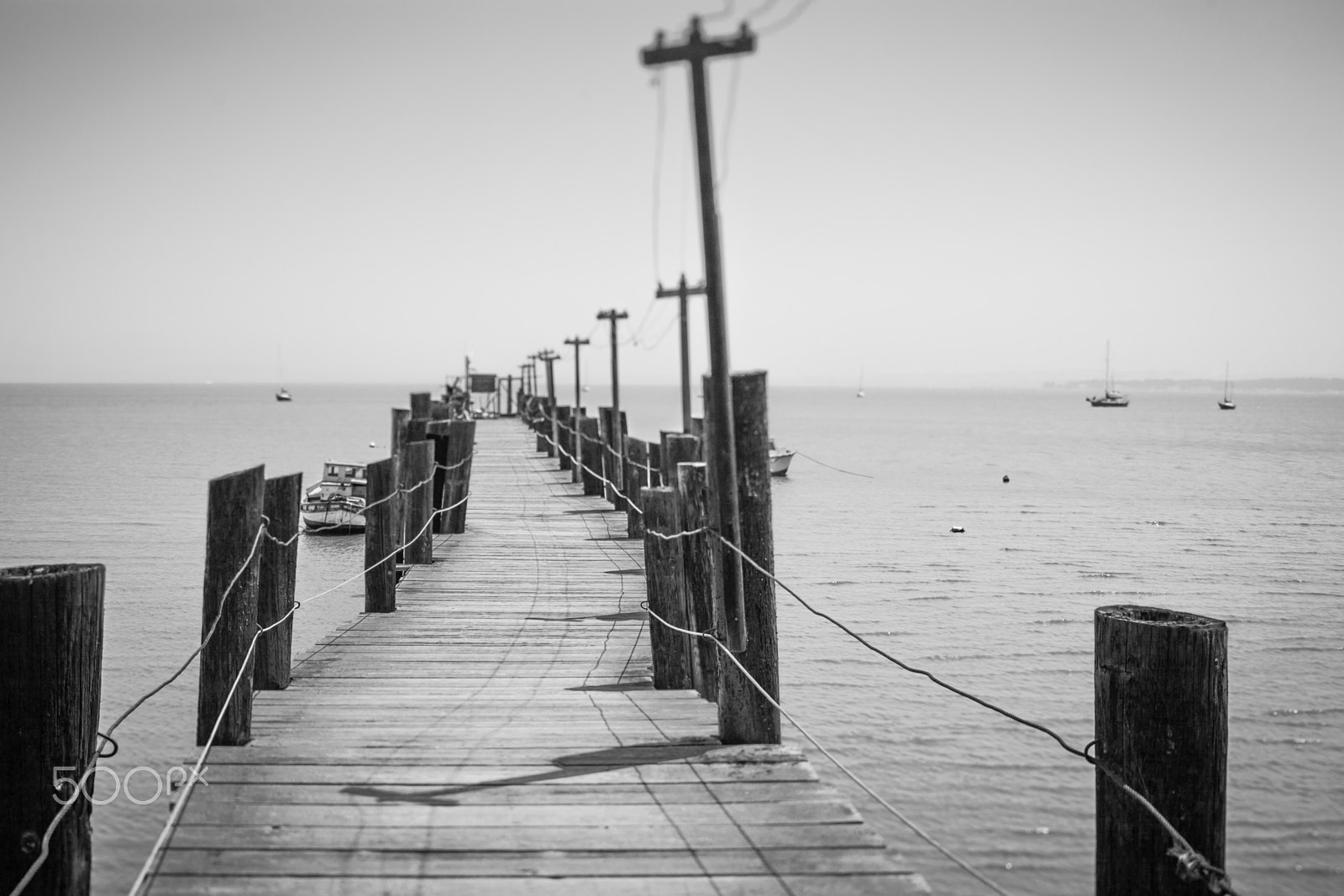 Canon EOS 5D Mark II + Canon TS-E 45mm F2.8 Tilt-Shift sample photo. Into the sea photography