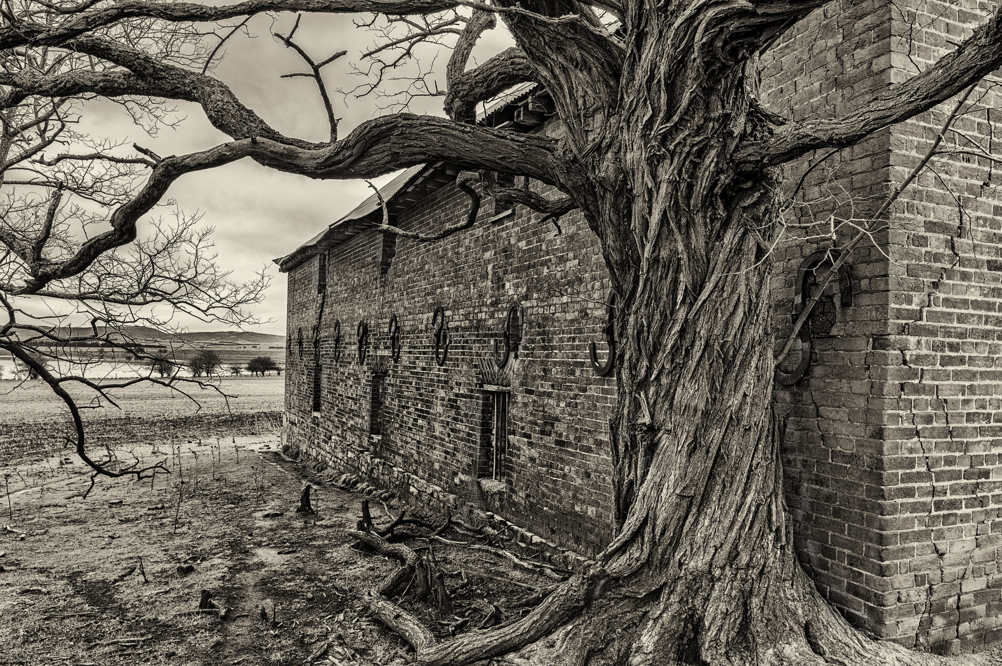 Pentax K-3 II sample photo. The old inn sepia photography