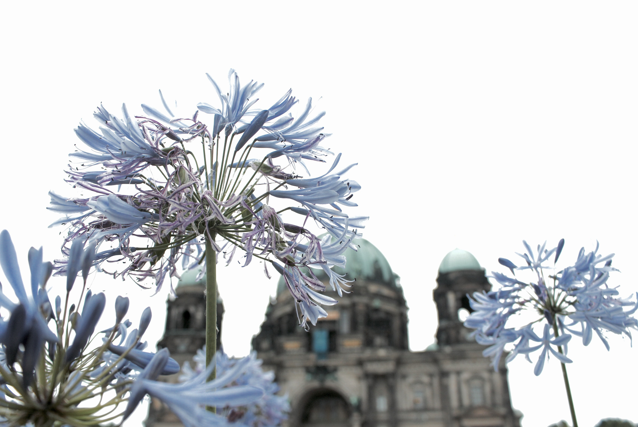 Canon EOS 700D (EOS Rebel T5i / EOS Kiss X7i) sample photo. Cathedral of berlin photography