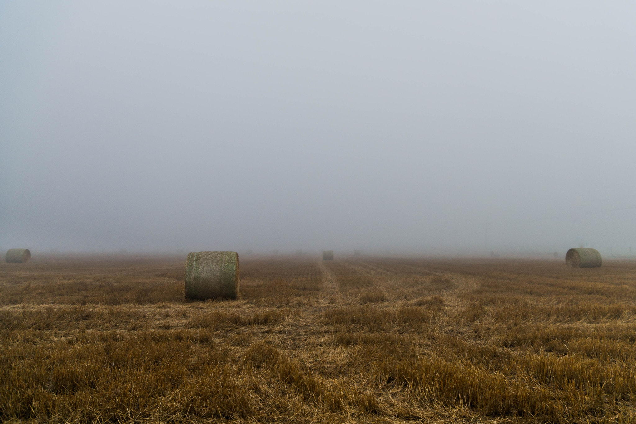 Sony a99 II + Sony DT 16-50mm F2.8 SSM sample photo. Haunted field  photography