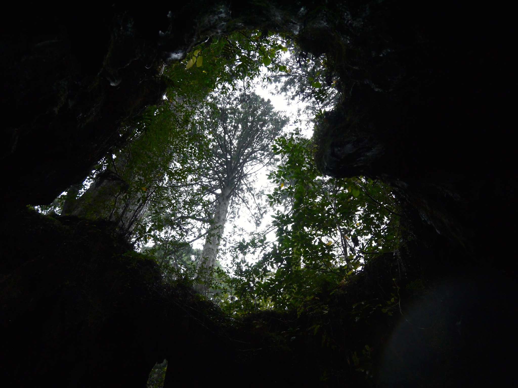 Panasonic Lumix DMC-GF5 + LUMIX G VARIO PZ 14-42/F3.5-5.6 sample photo. Yakushima japan photography