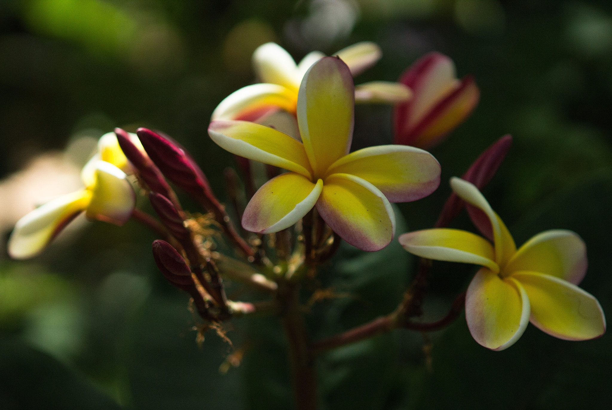 Canon EF 24-70mm F2.8L USM sample photo