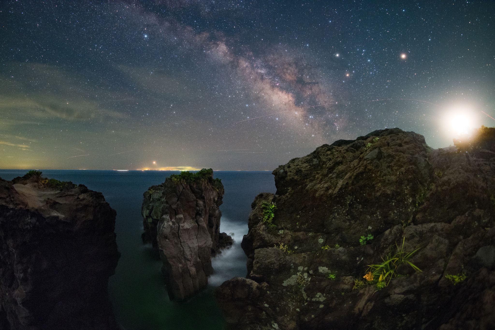 Nikon D810A + Samyang 12mm F2.8 ED AS NCS Fisheye sample photo. Lily and the milky way photography