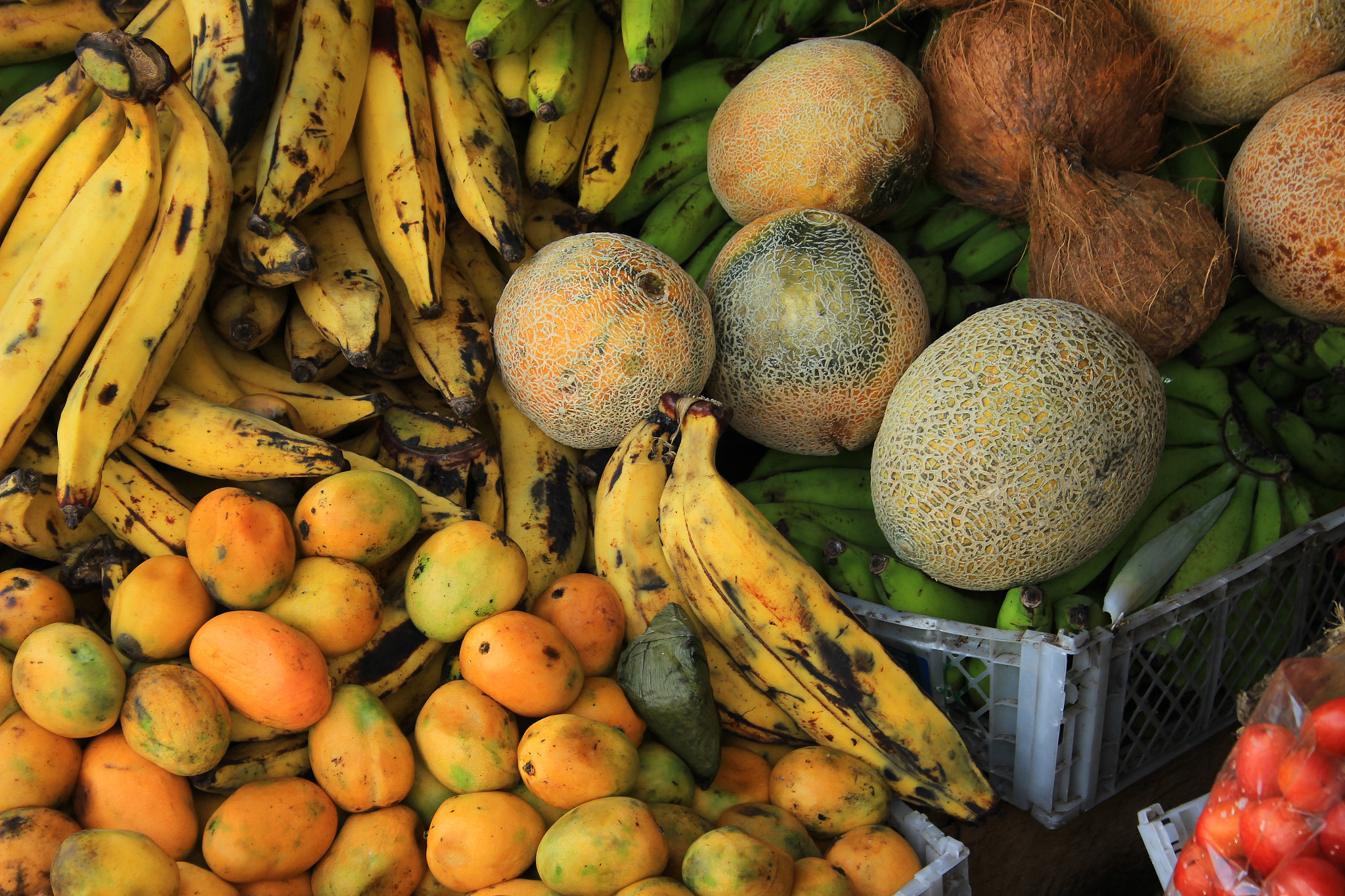 Canon EF-S 18-55mm F3.5-5.6 II sample photo. Exotic fruits at the market photography