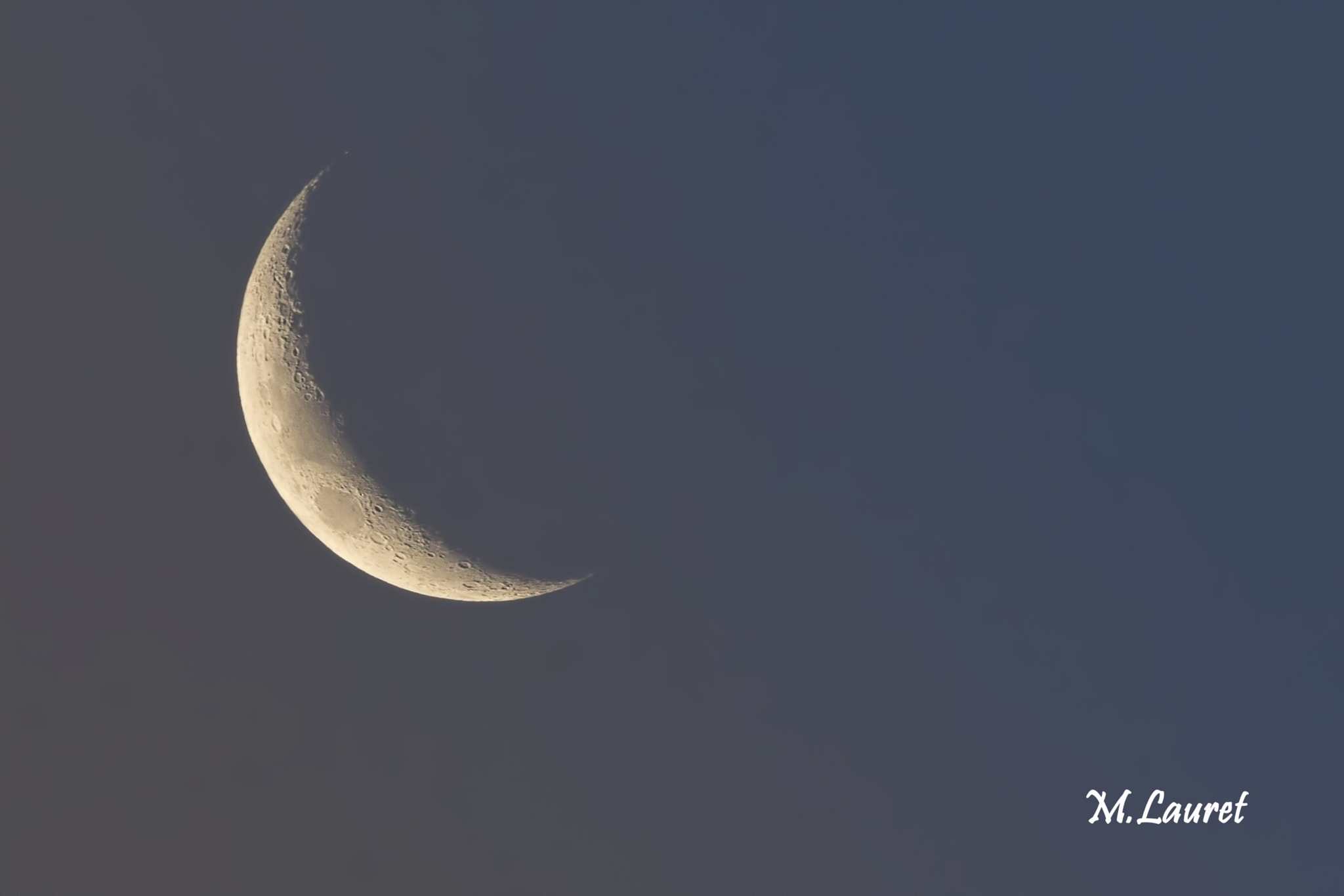 Canon EF 100-400mm F4.5-5.6L IS USM sample photo. Luna photography