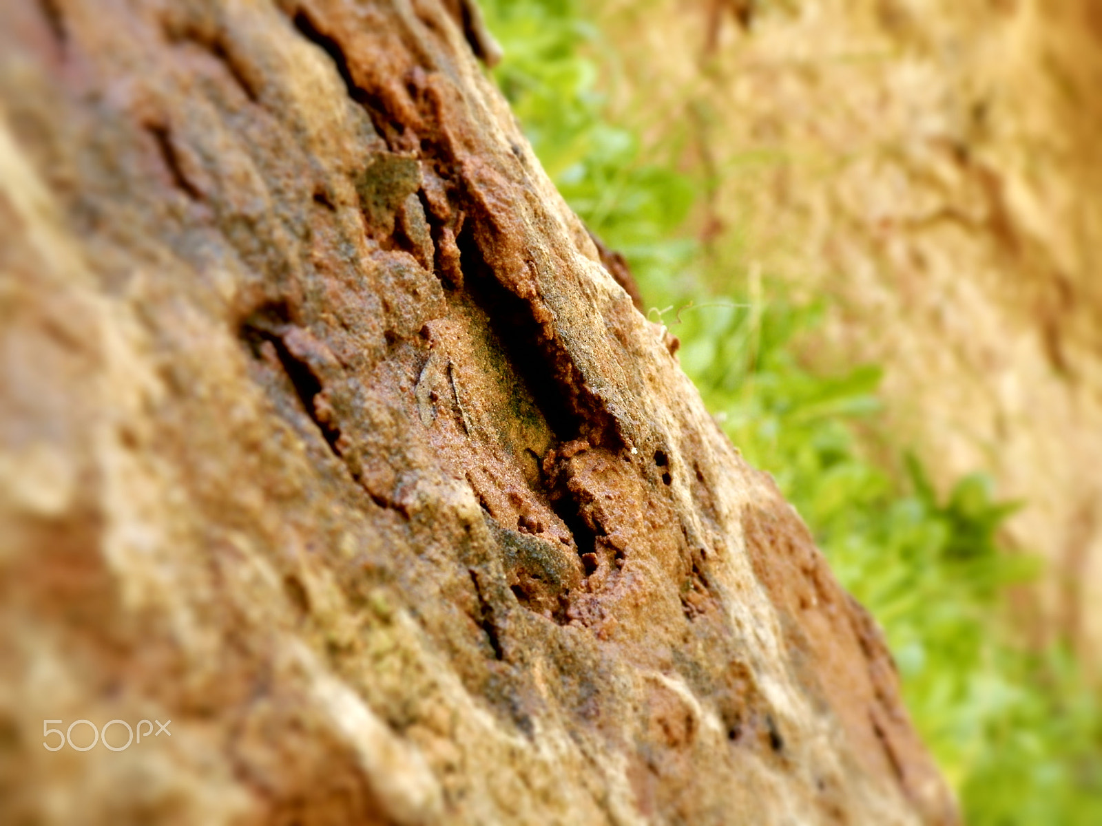 Kodak EASYSHARE Z5010 DIGITAL CAMERA sample photo. Sandstone crack photography