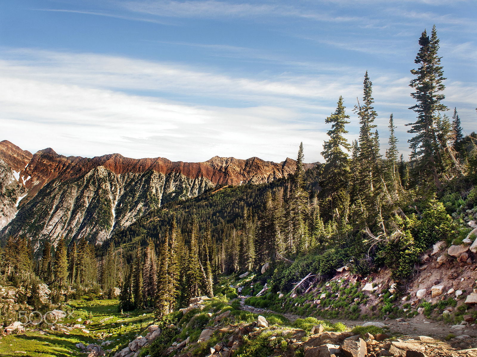 Olympus PEN E-P2 + Olympus M.Zuiko Digital 17mm F2.8 Pancake sample photo. White pine trail | utah photography