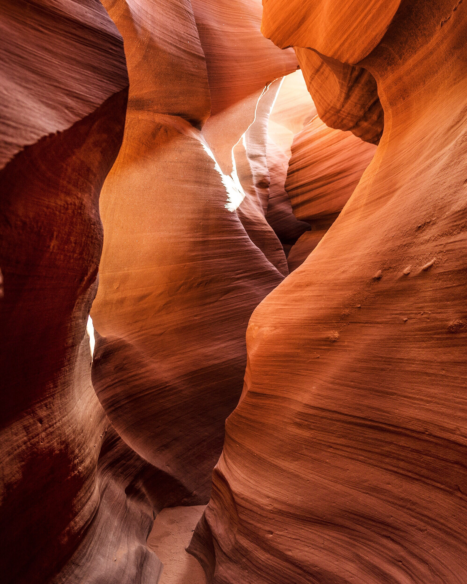 Nikon D4 + Nikon AF-S Nikkor 20mm F1.8G ED sample photo. Lower antelope canyon. navajo land. arizona. photography