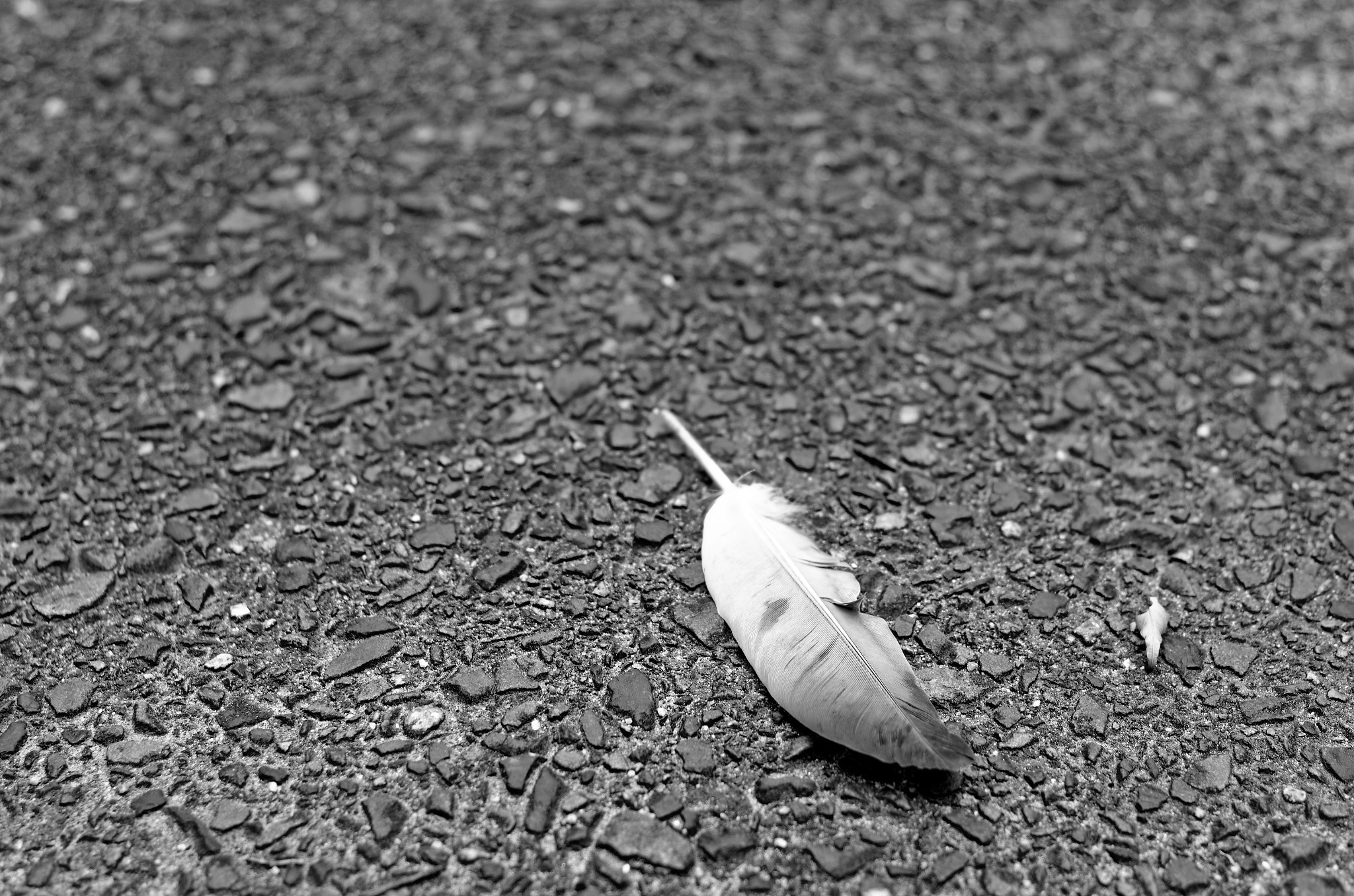 Pentax smc DA 40mm F2.8 XS Lens sample photo. Dxo photography