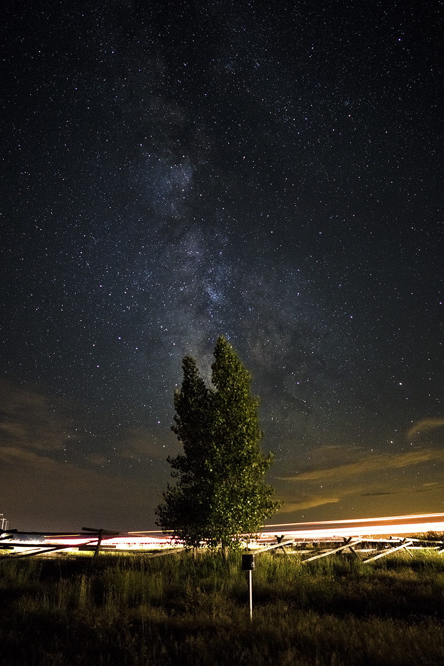 Sony a7R + ZEISS Batis 25mm F2 sample photo. Tree of the galaxy photography