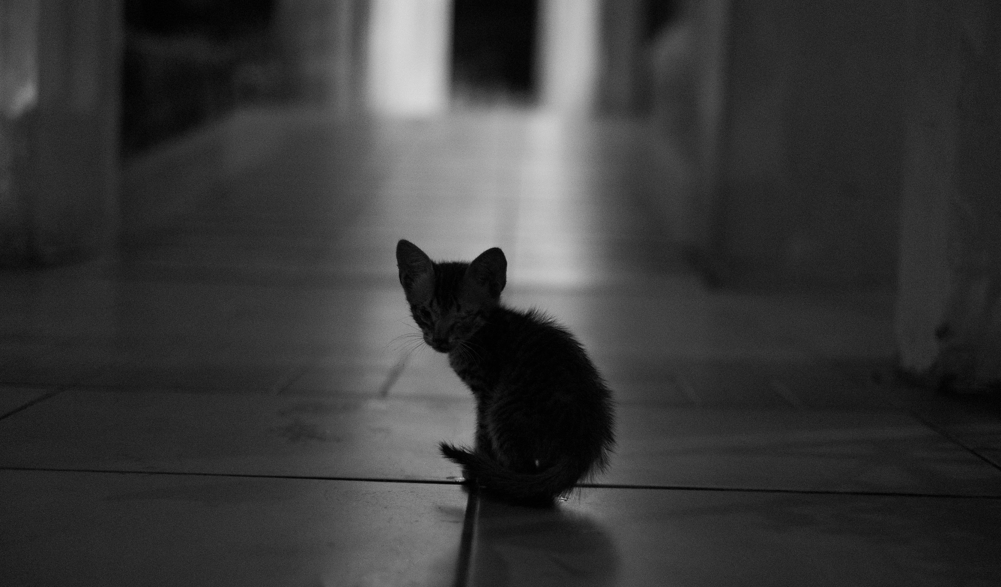Fujifilm X-A2 sample photo. Alone photography