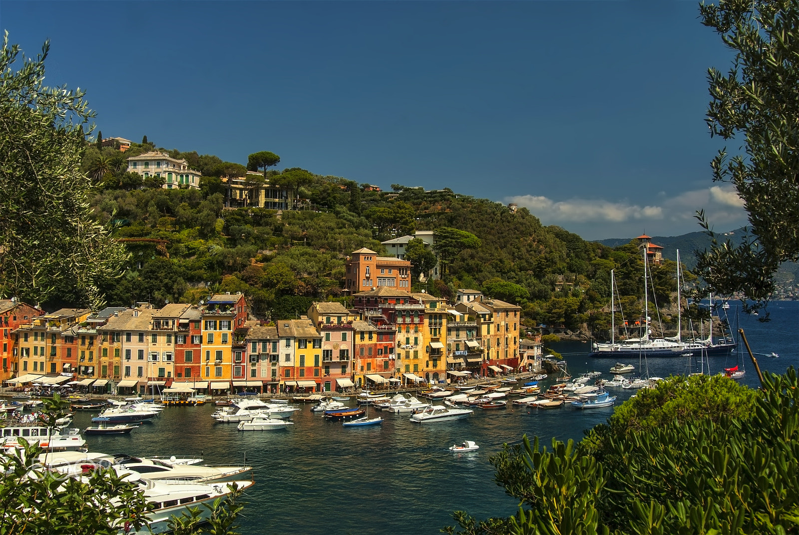 Nikon AF Nikkor 24-85mm F2.8-4D IF sample photo. Portofino/italy..... photography
