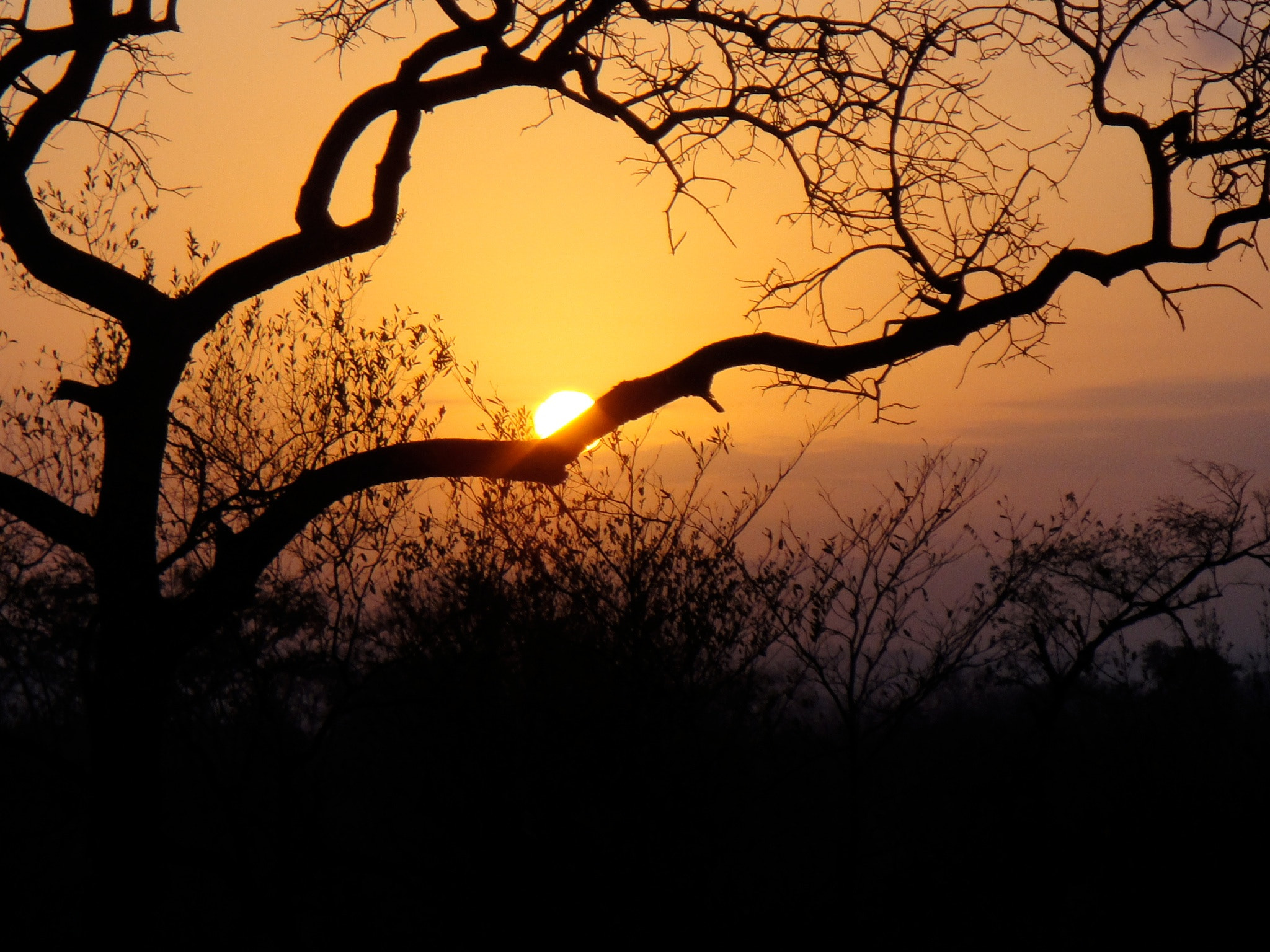 Sony DSC-T90 sample photo. Londolozi camp photography