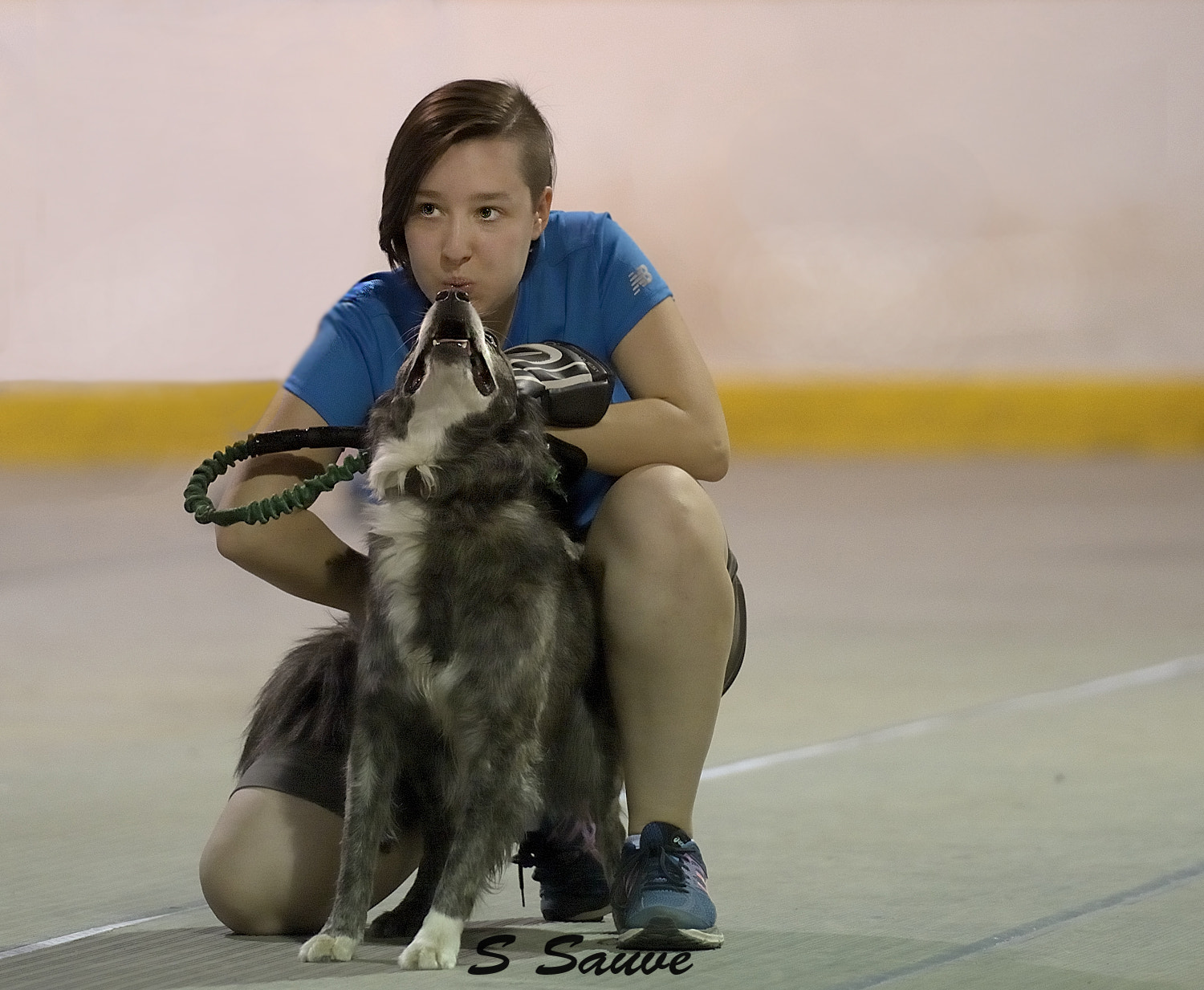 Nikon D610 + Nikon AF Nikkor 14mm F2.8D ED sample photo. Napanee tournament flyball photography