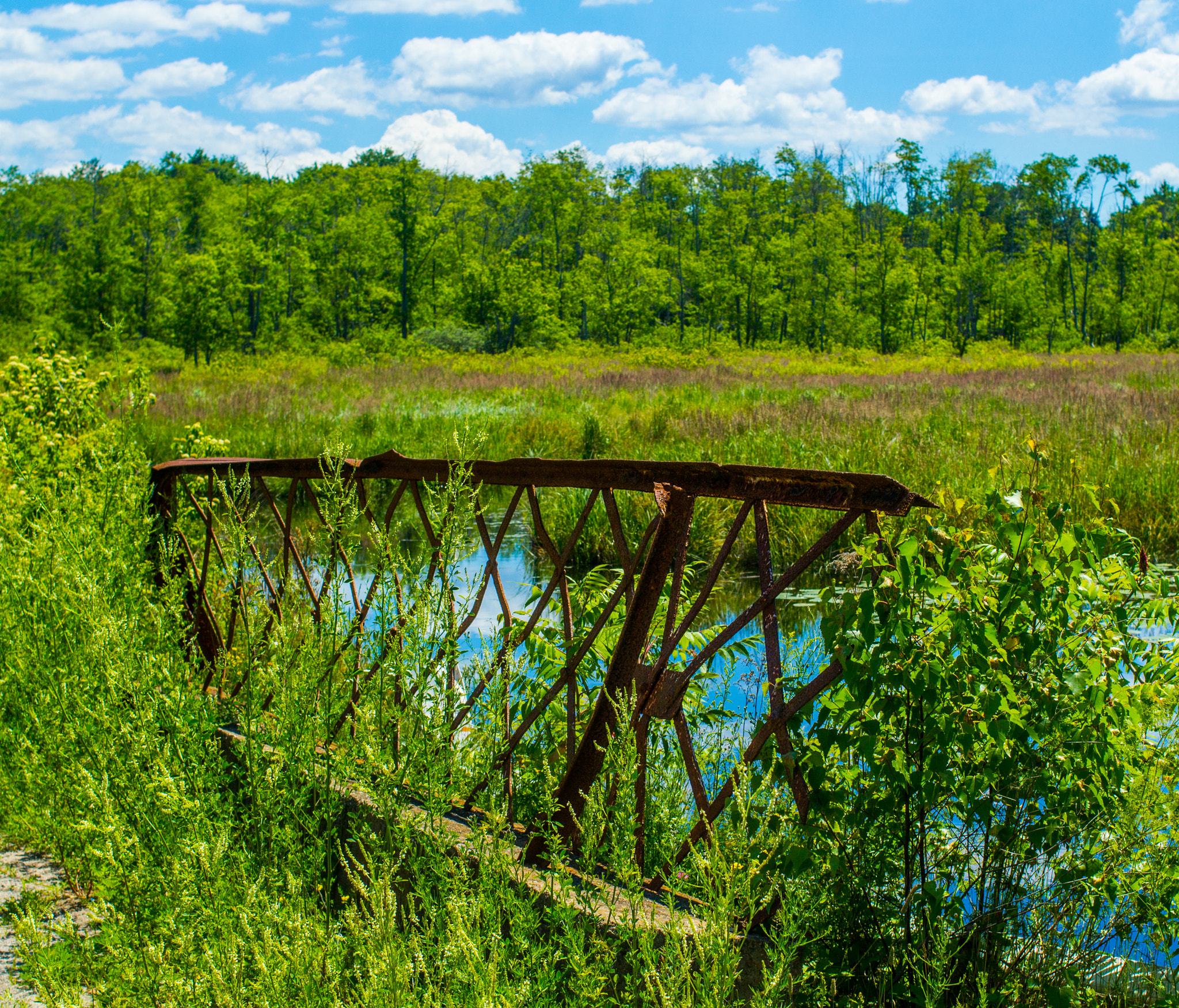Canon EOS 550D (EOS Rebel T2i / EOS Kiss X4) + Canon EF 35mm F2 sample photo. Bridge along a summer landscape photography