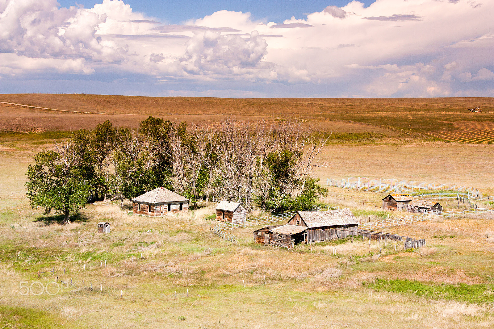 Canon EOS 450D (EOS Rebel XSi / EOS Kiss X2) sample photo. Abandoned homestead photography